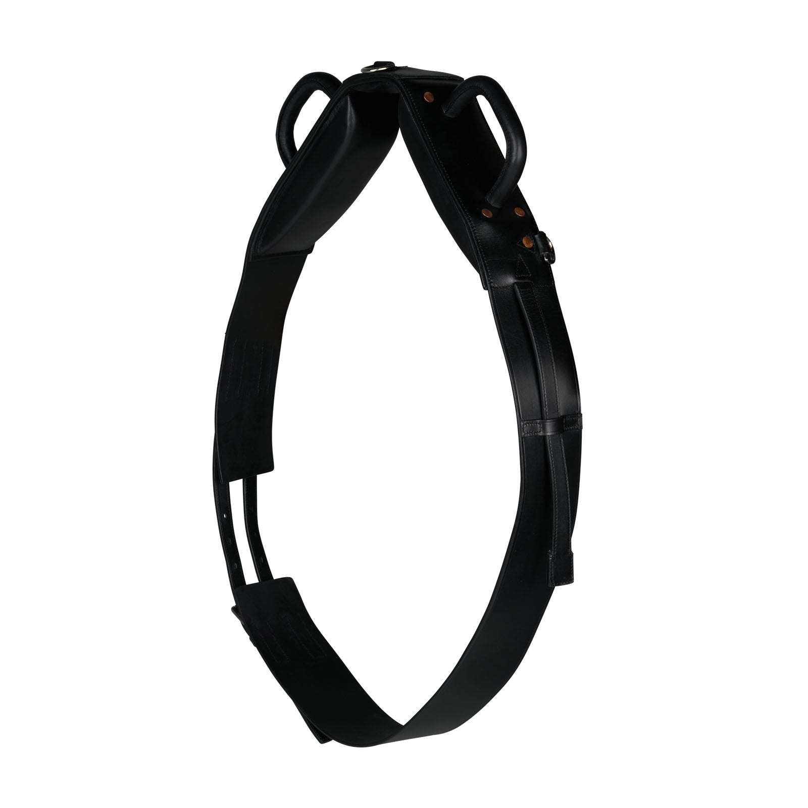 Horze Voltige Girth Horse Training