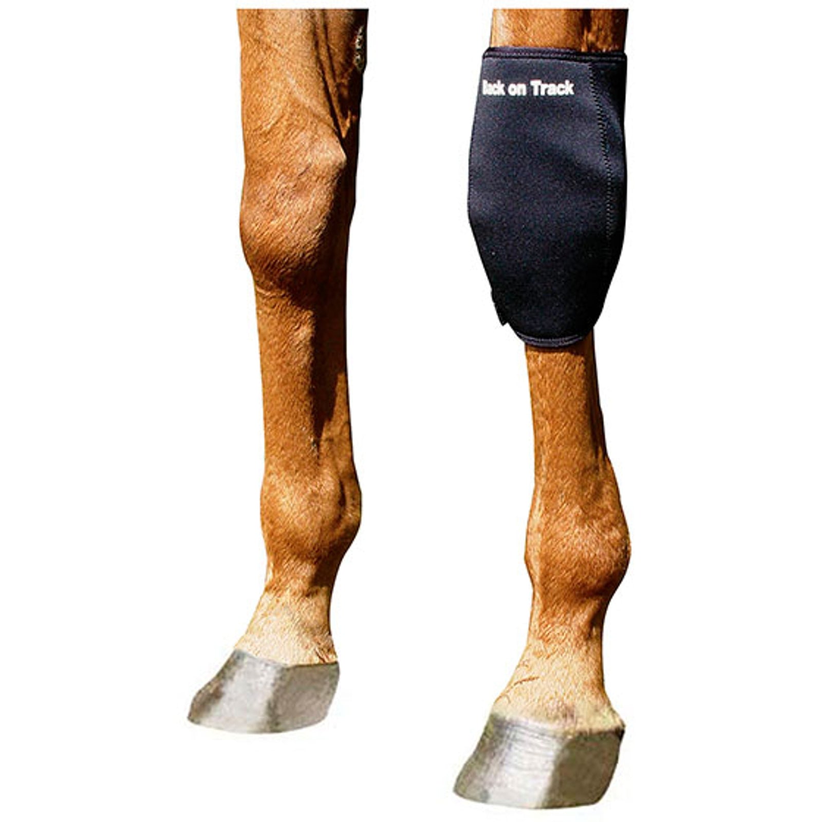 Back on Track Back On Track Knee boot, Left Leg Protection & Hoof Protection for Horses