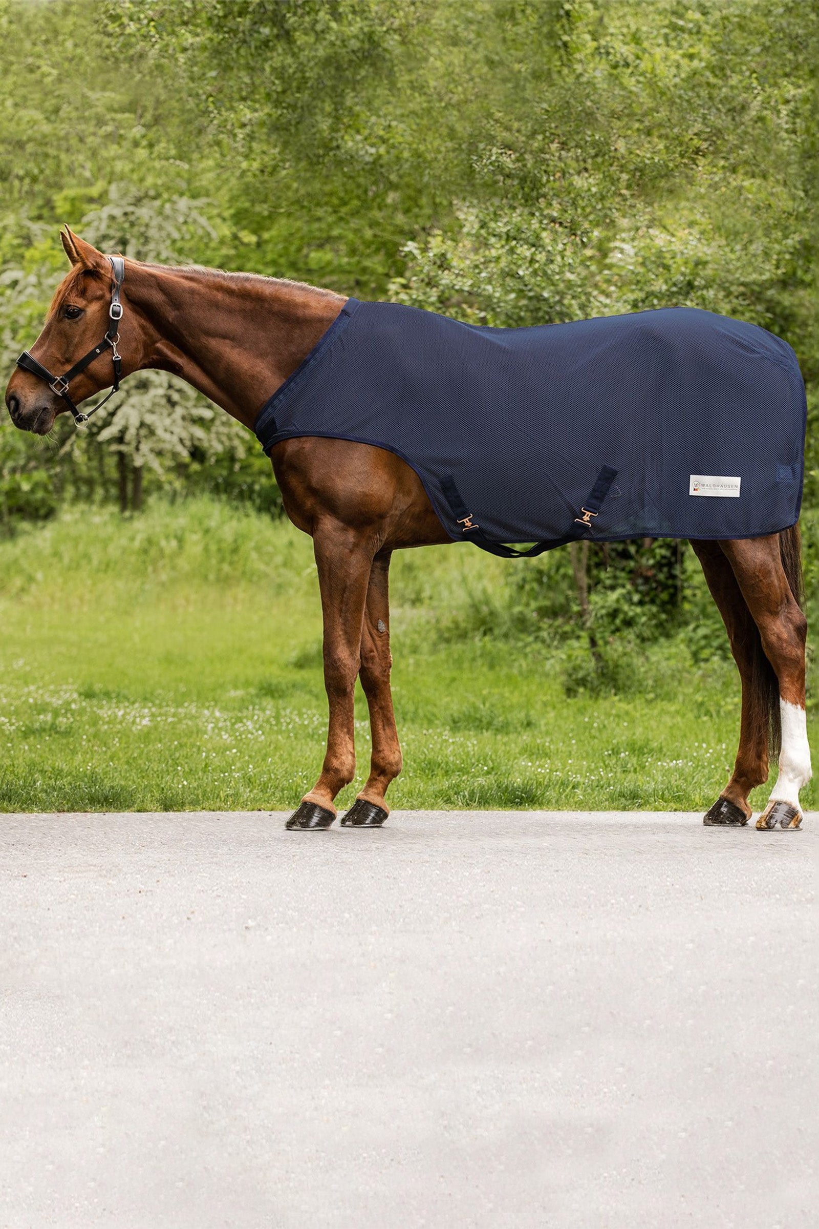 Waldhausen Comfort Fly-Horse Walker Rug Horse Rugs
