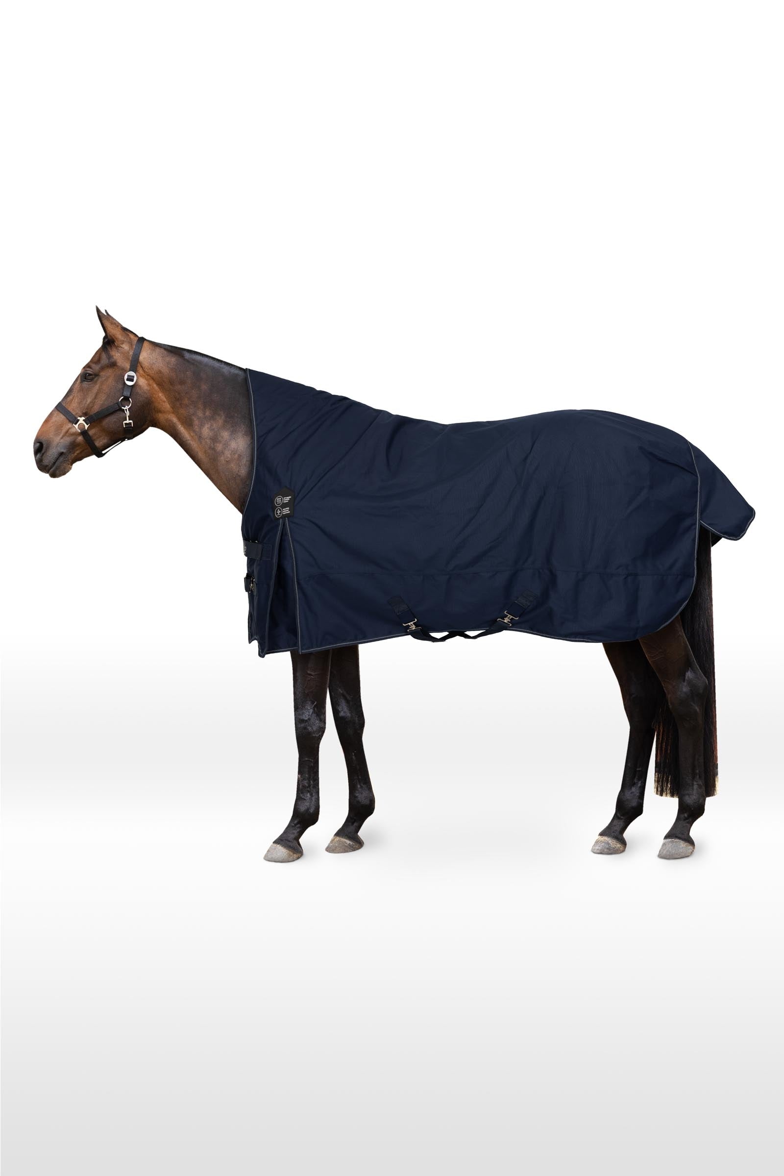Horze Avalanche Mid Season Rug 150g Horse Rugs
