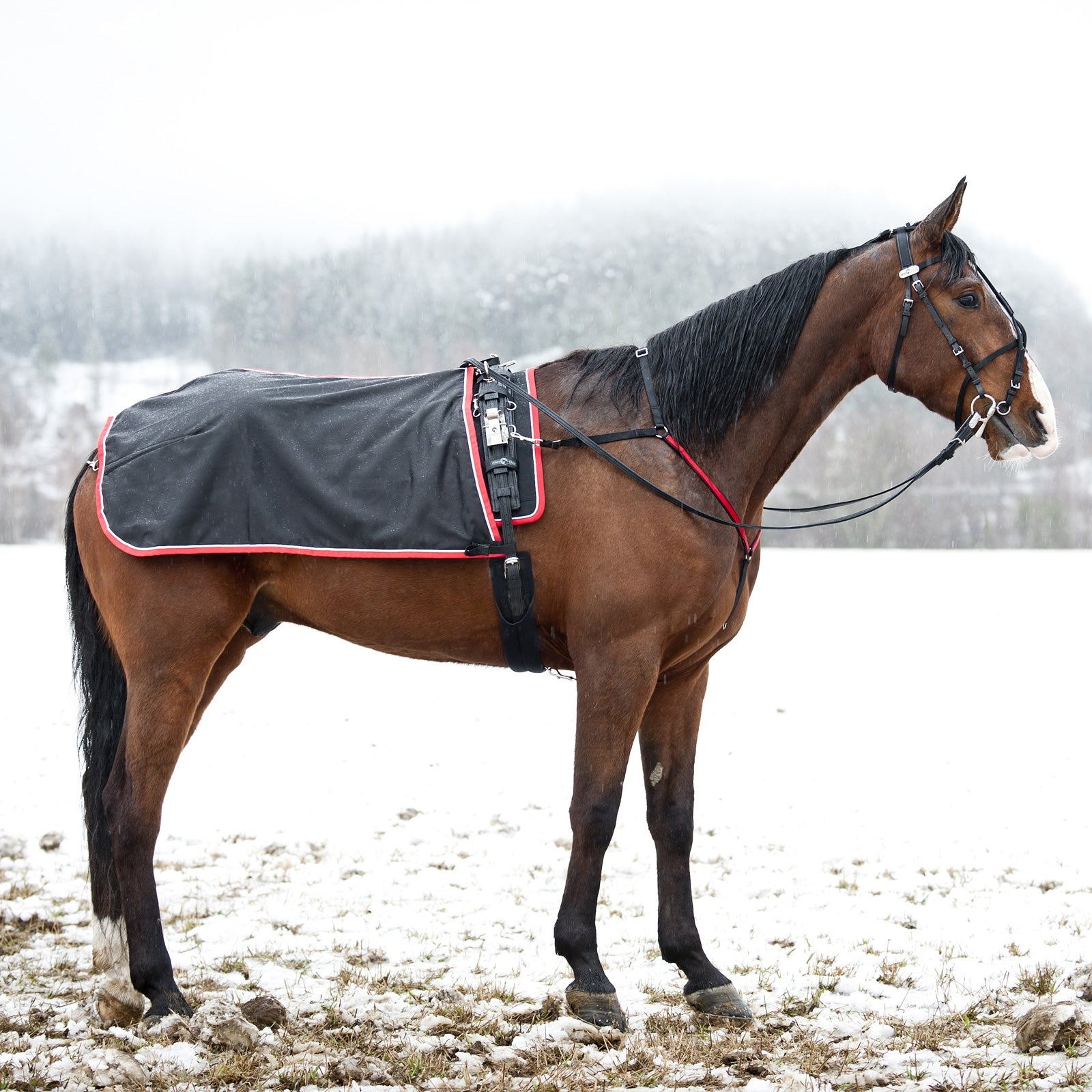 Finntack Enstex Exercise Sheet Horse Rugs