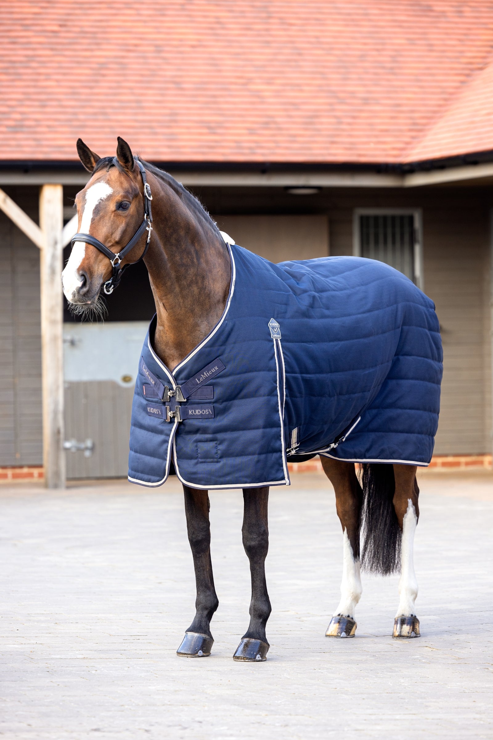 LeMieux Kudos Stable Rug, 100g Horse Rugs