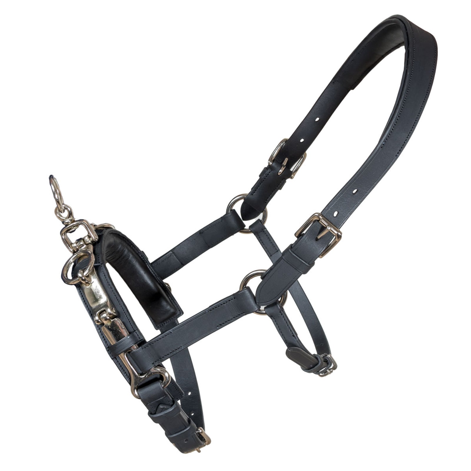 Karlslund Fengur Kapsun Horse Training