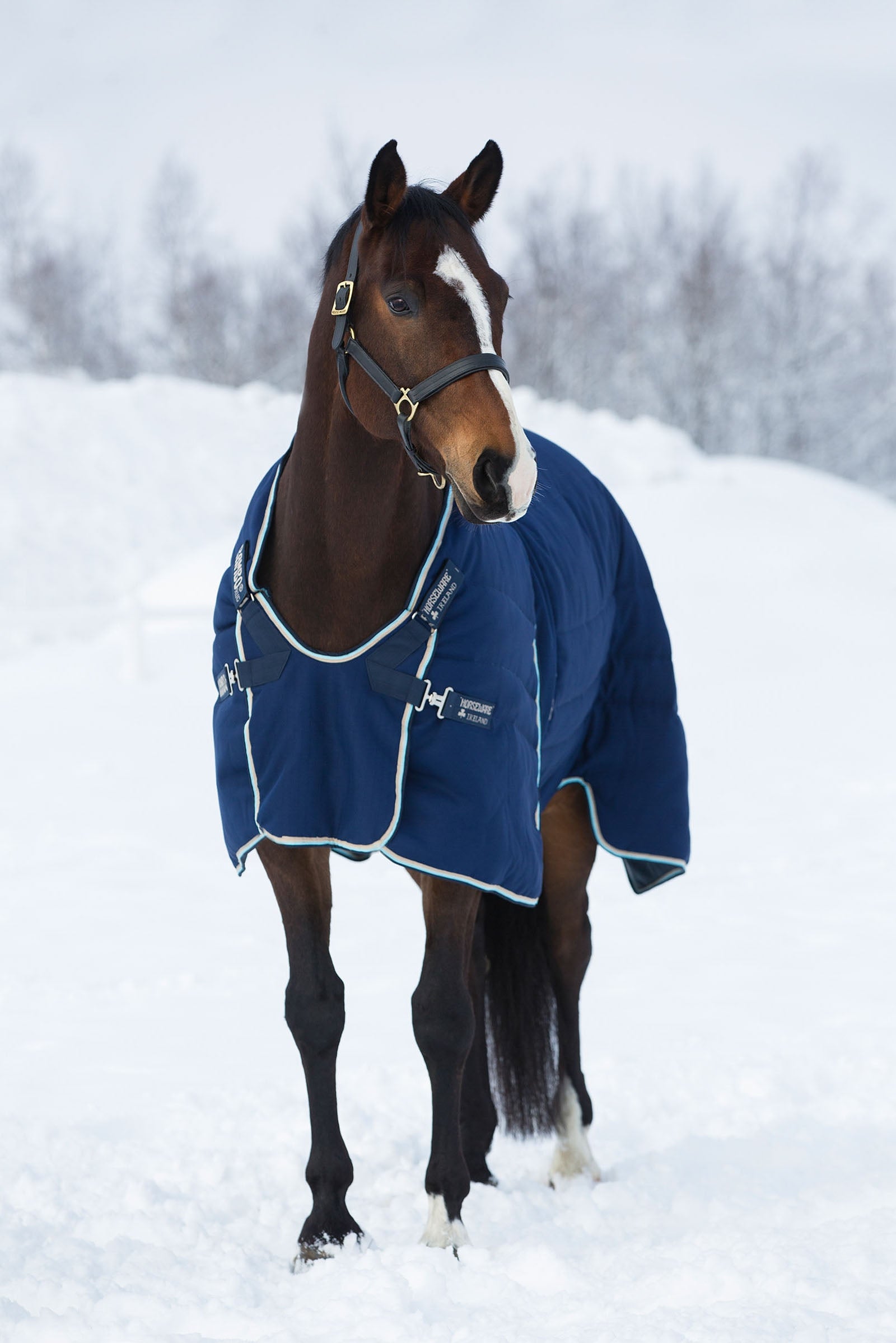 Horseware Rambo Optimo Stable Rug, 400g Horse Rugs
