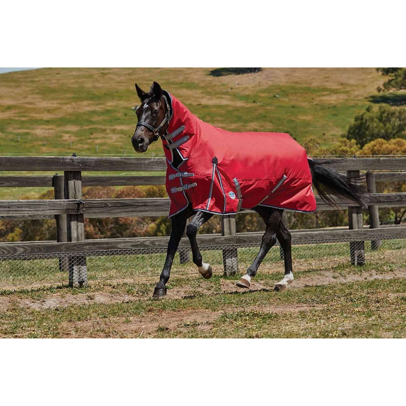 Weatherbeeta Comfitec Classic Turnout Rug With Fixed Neck, 300g Horse Rugs