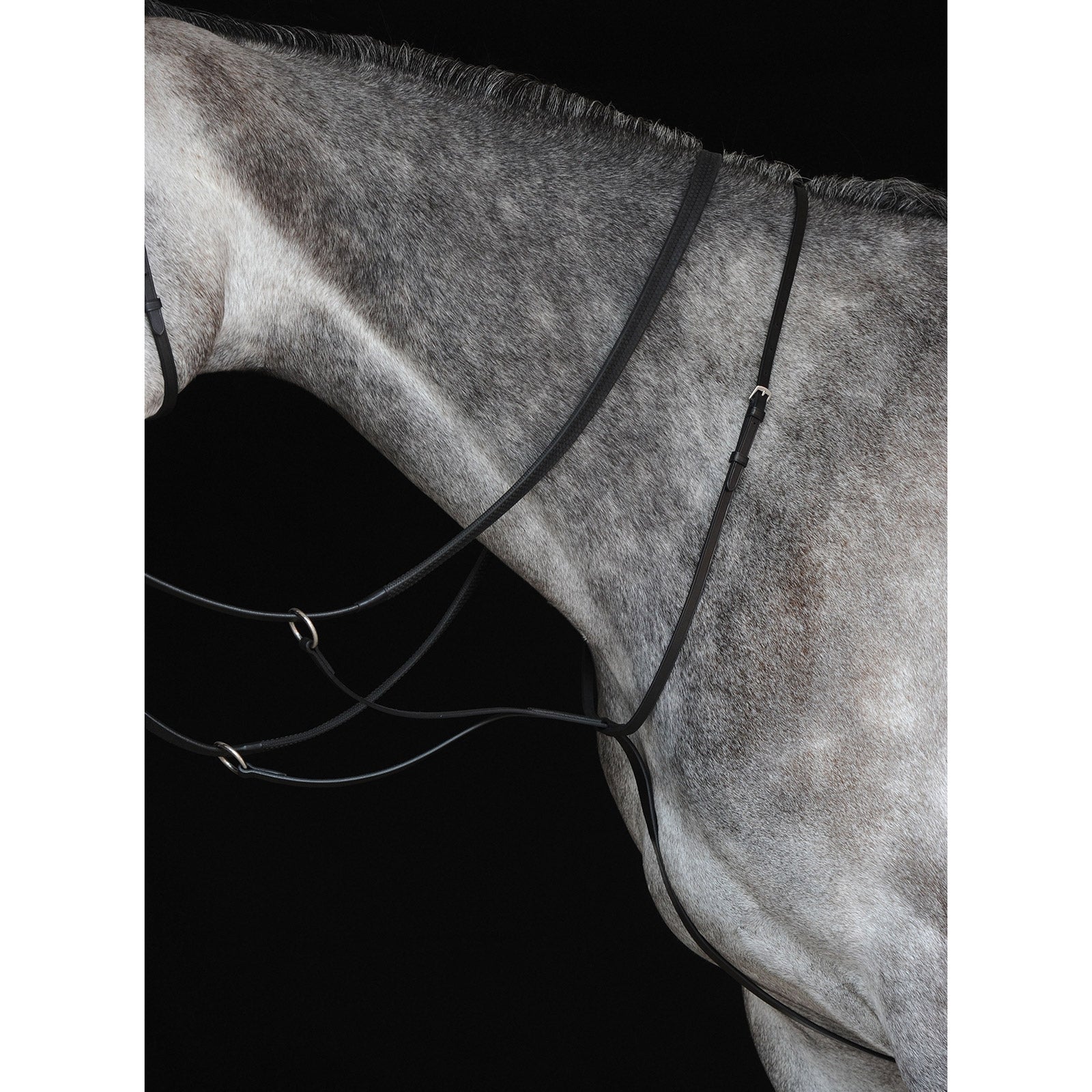 Collegiate Running Martingale IV Bridles & Reins