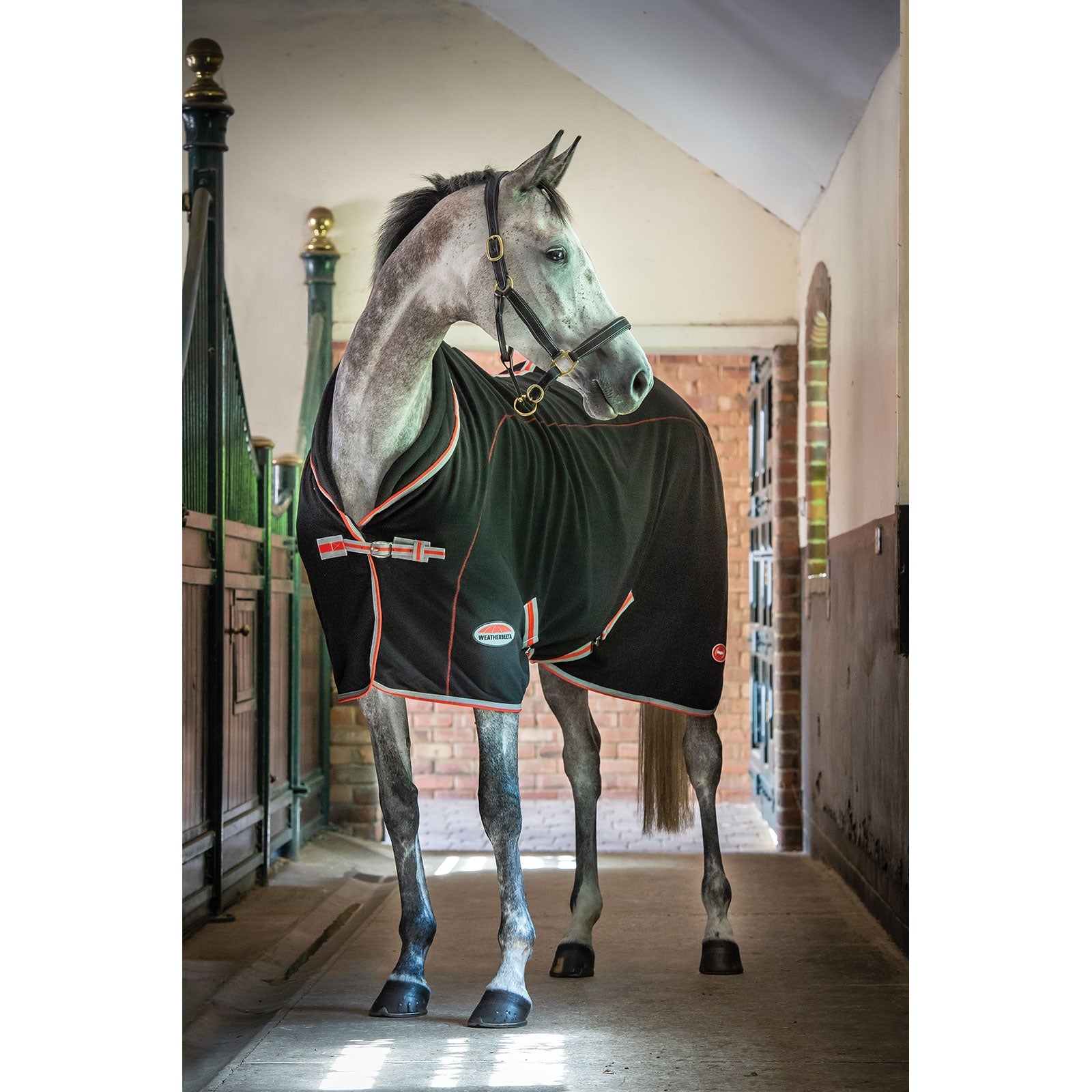 Weatherbeeta Therapy-Tec Standard Neck Horse Rugs