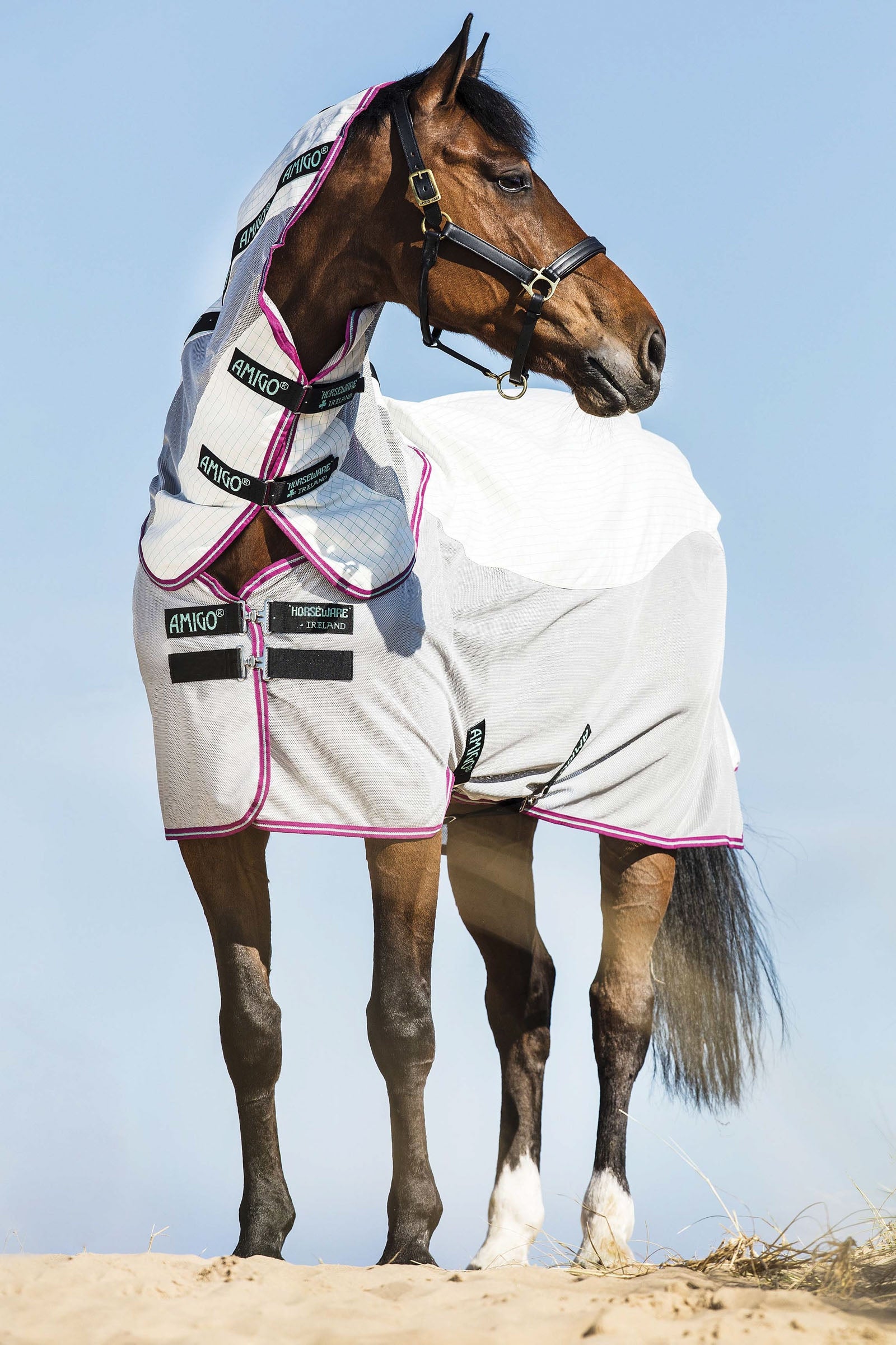 Horseware Amigo Airflow Fly Rug With Detachable Neck Horse Rugs