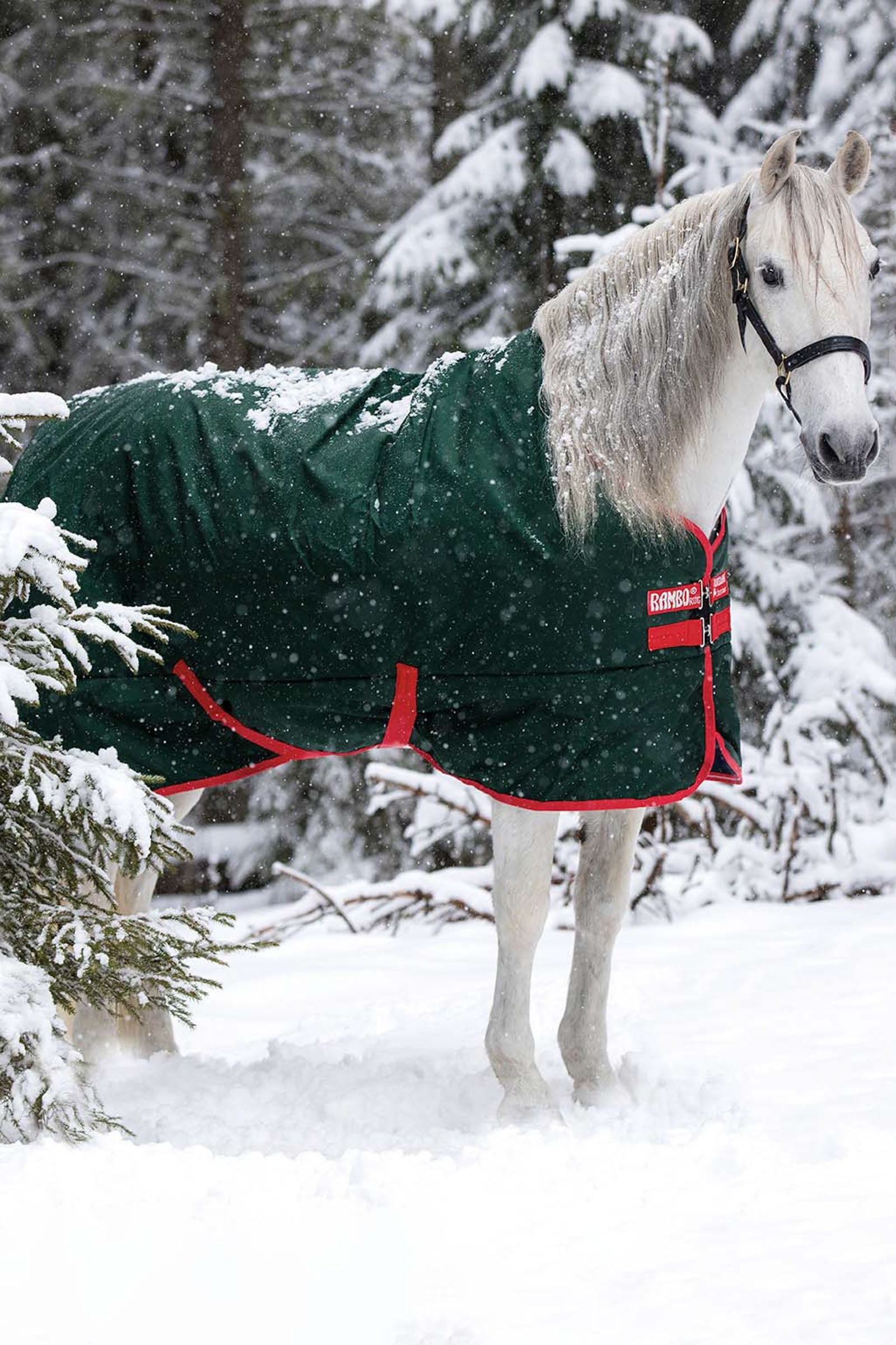 Pull Up Rambo Original Turnout Boot Horseware Rambo Original Pull