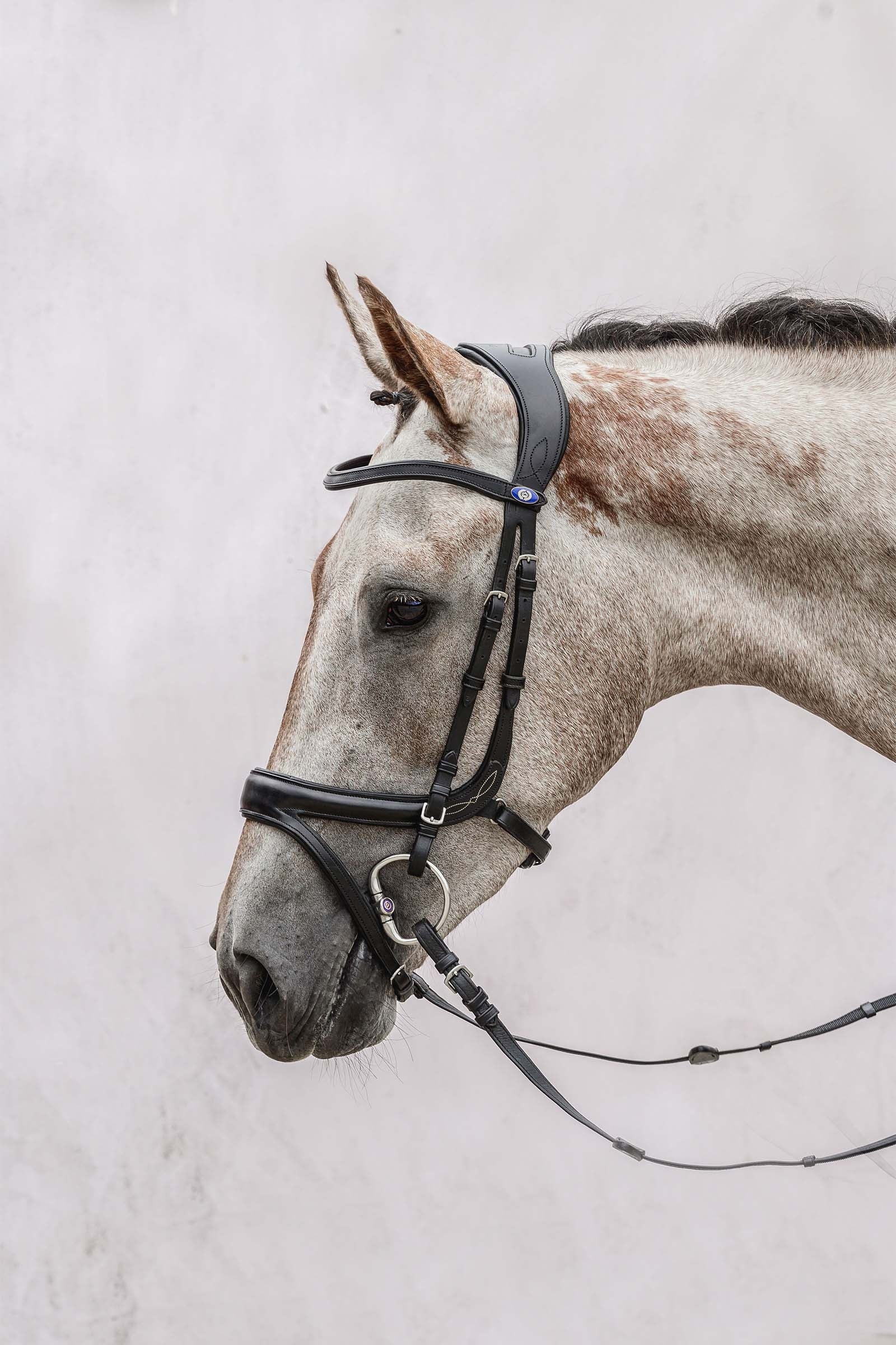 PS of Sweden Jump Off Bridle Bridles & Reins