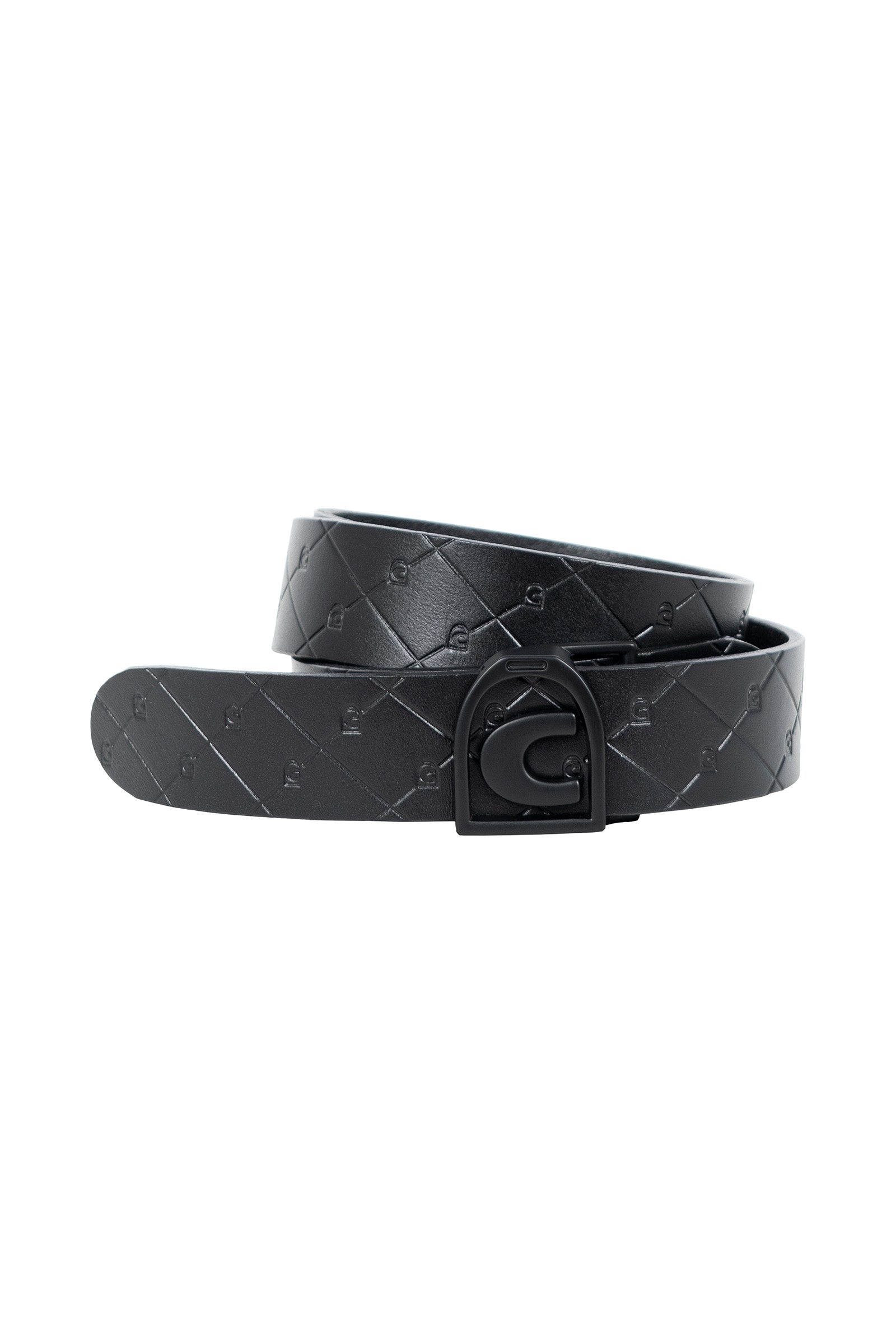 Cavallo Tale Belt Accessories
