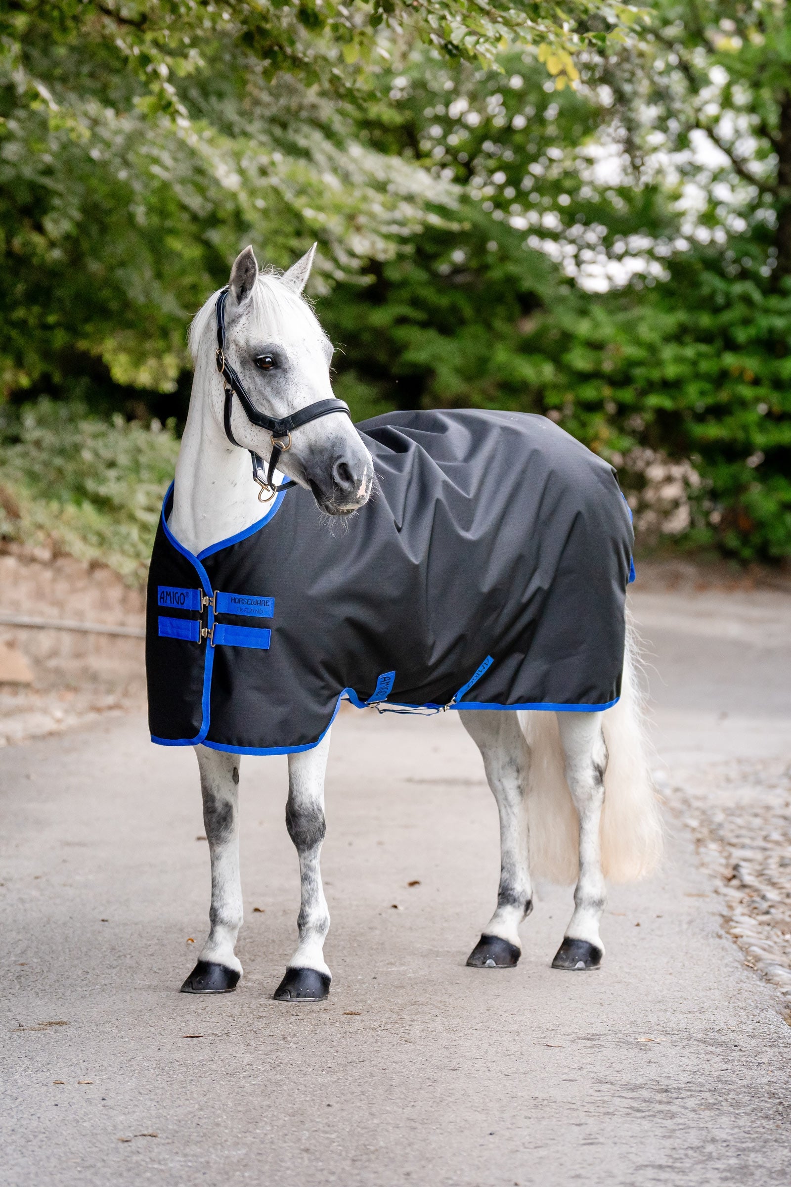 Horseware Amigo Ripstop 900D Turnout Rug, 200 g Horse Rugs