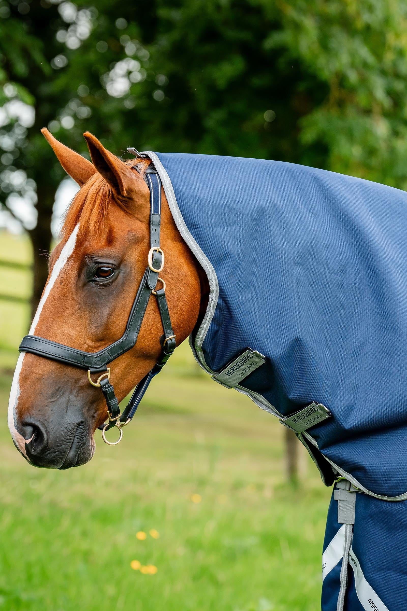 Horseware Amigo Bravo 12 Hood 0g Horse Rugs