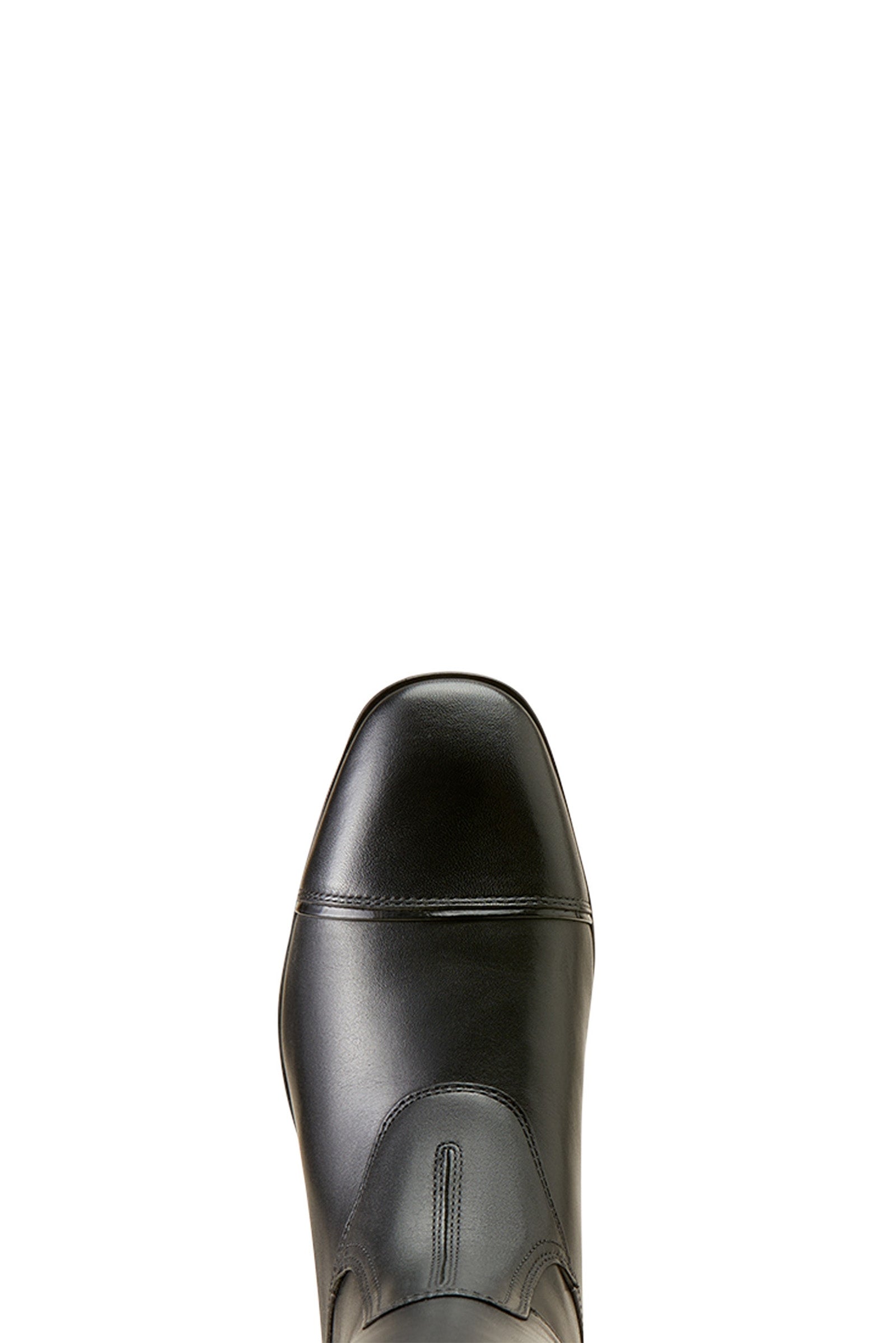 Ariat Palisade Show Tall Riding Boots Riding Boots & Riding Shoes