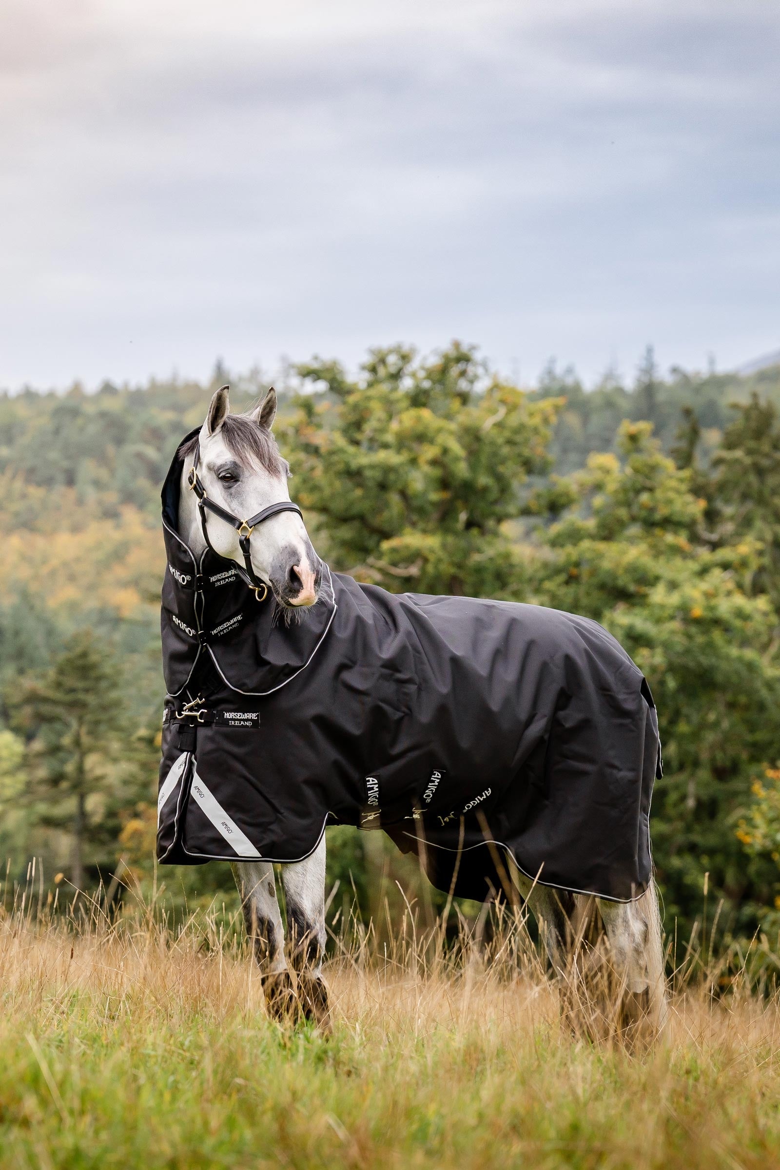 Horseware Amigo Super Bravo Plus Turnout Rug With Detachable Neck, 250g Horse Rugs