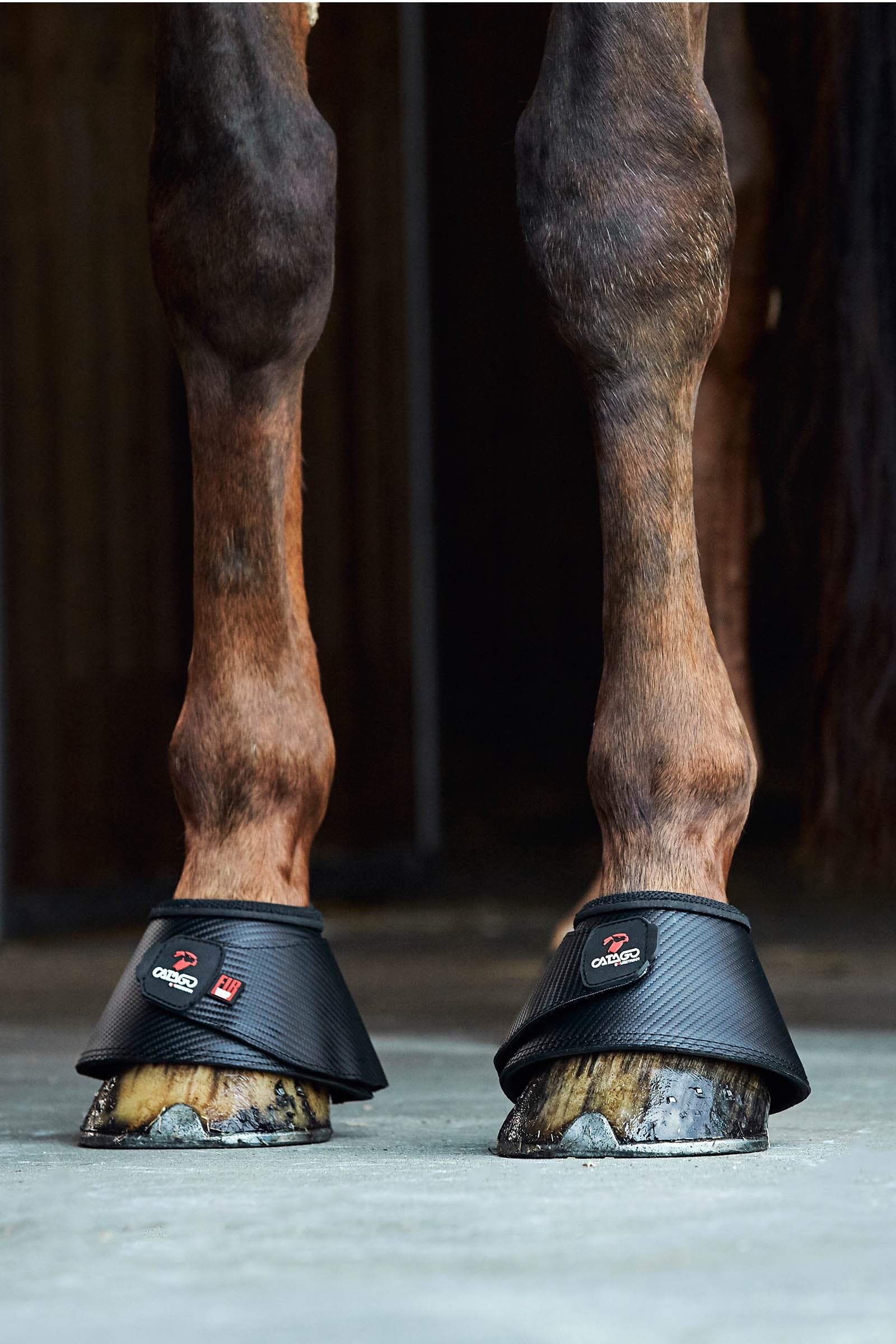 Catago FIR-Tech Bell Boots Leg Protection & Hoof Protection for Horses