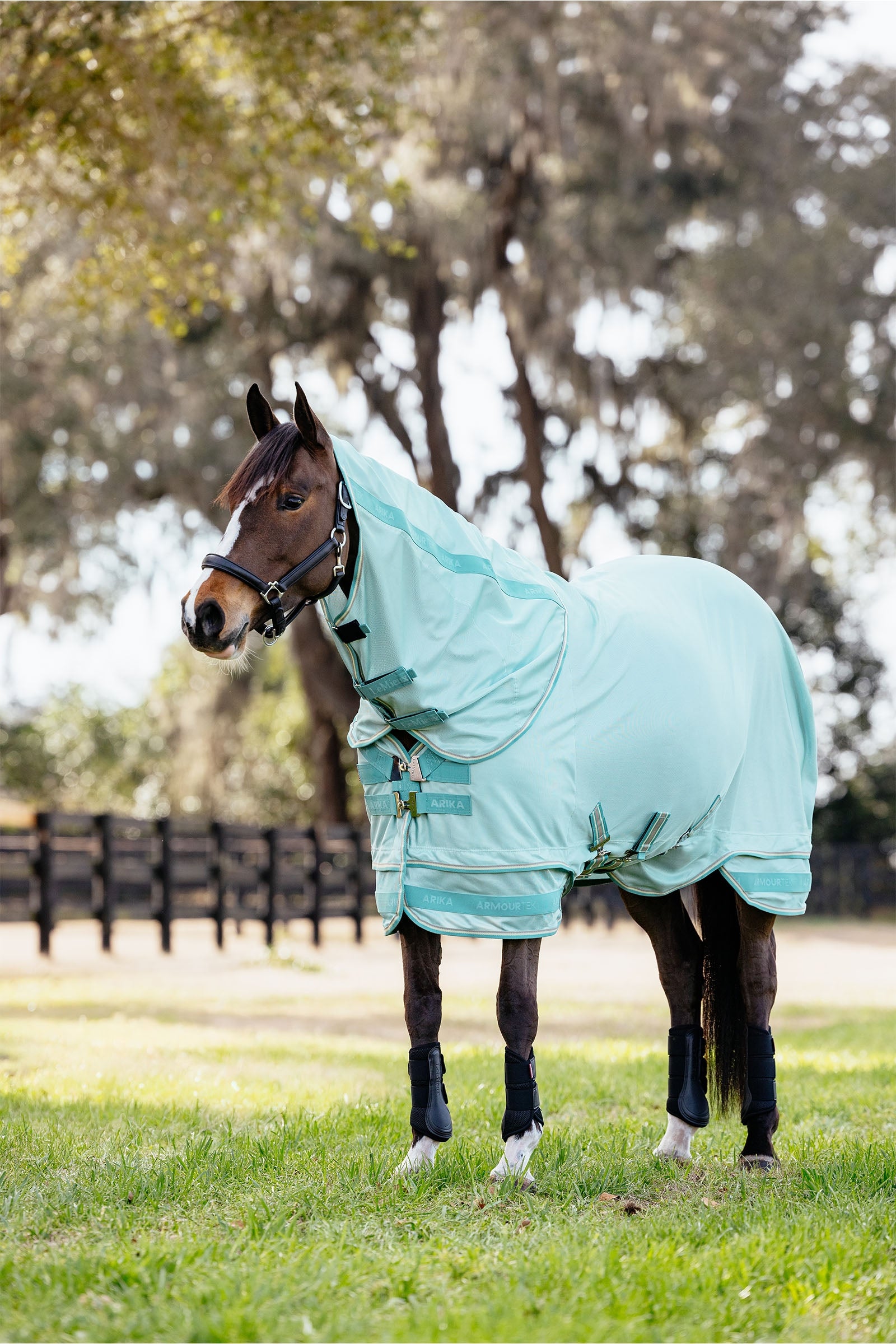 LeMieux Arika Armour-Tek Fly Rug With Detachable Neck Horse Rugs