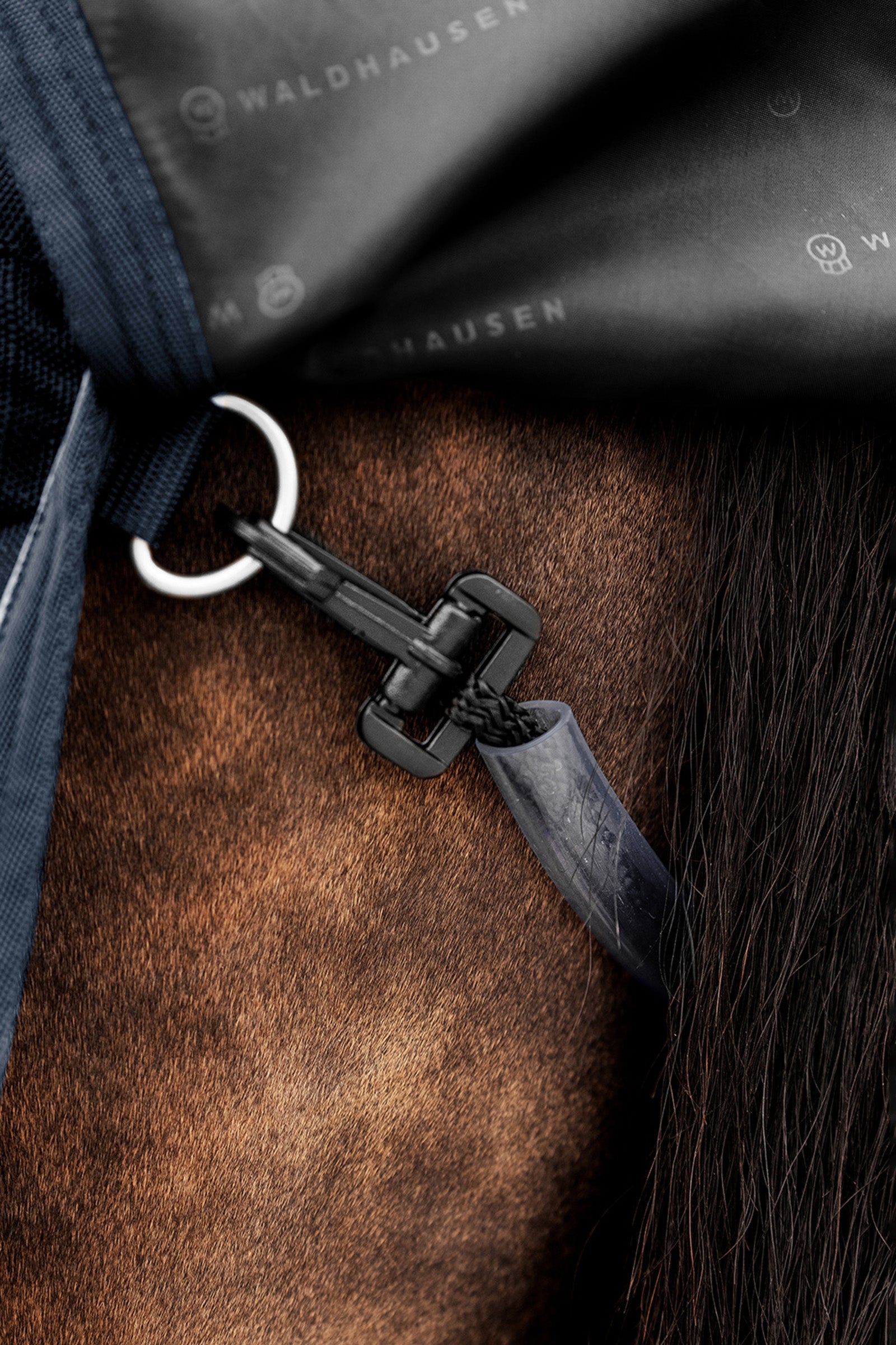 Waldhausen Outdoor Rug Scandic Multi-Layer 150g/50g Horse Rugs