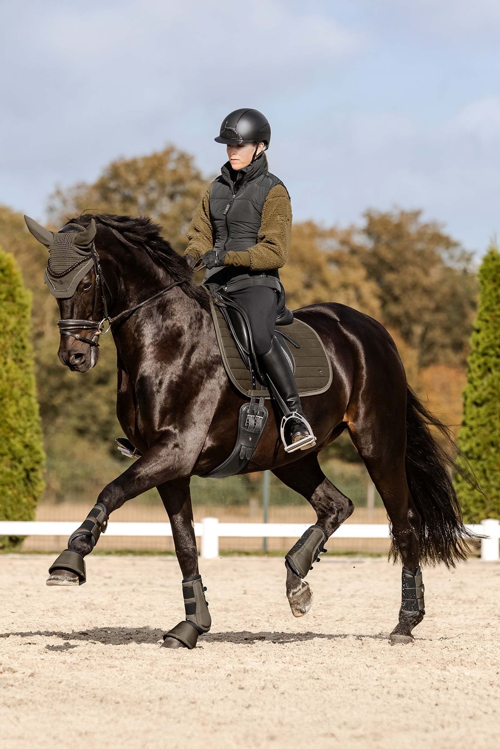 Waldhausen St. Gallen All Purpose Saddle Pad Saddle Pads