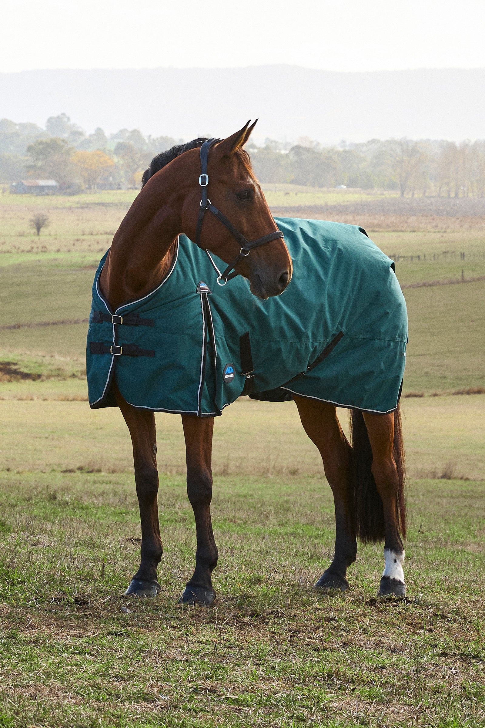 Weatherbeeta ComFiTec Classic Turnout Standard Neck 220G Horse Rugs