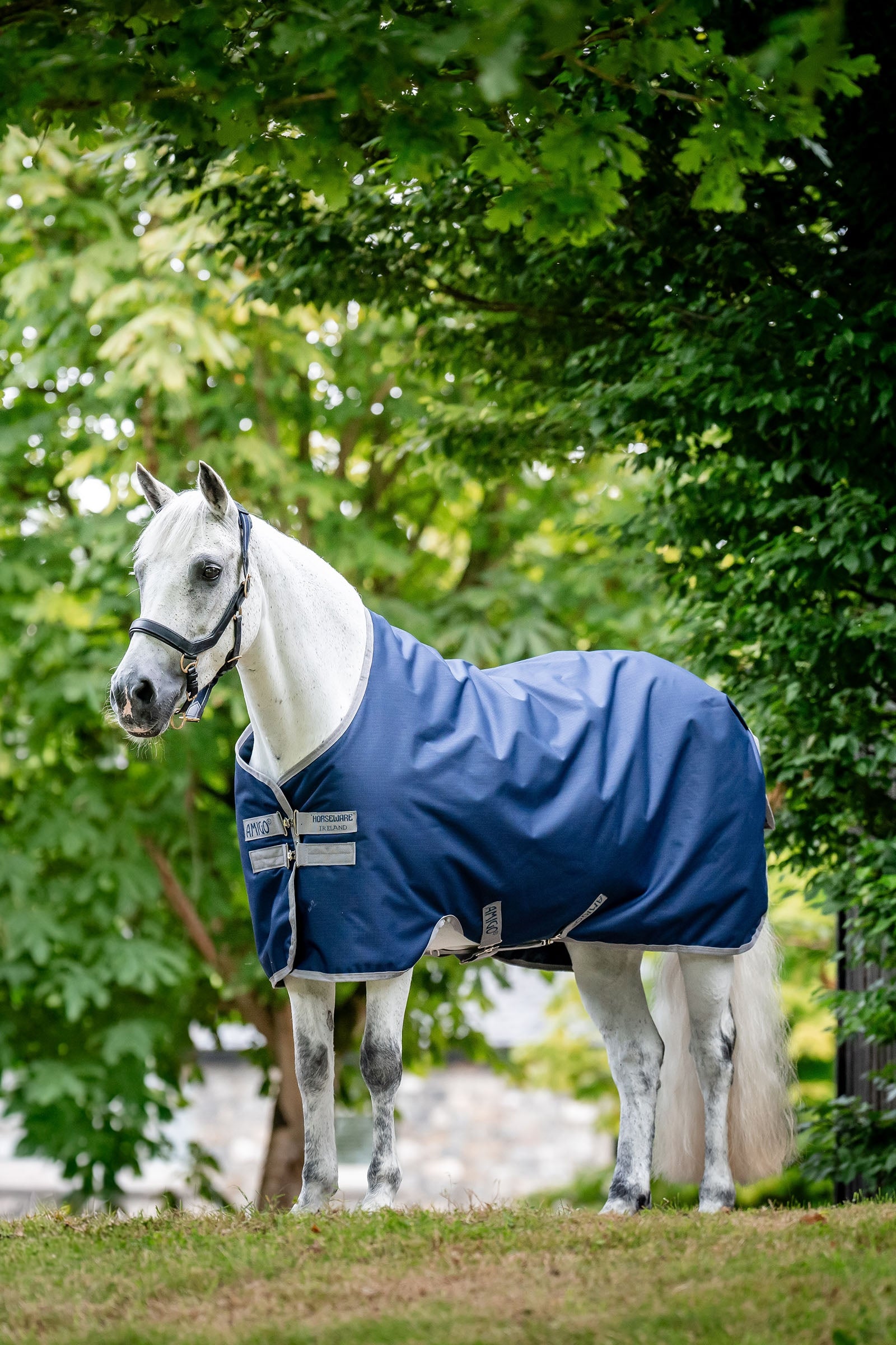 Horseware Amigo Ripstop Turnout Rug 900D, 50g Horse Rugs