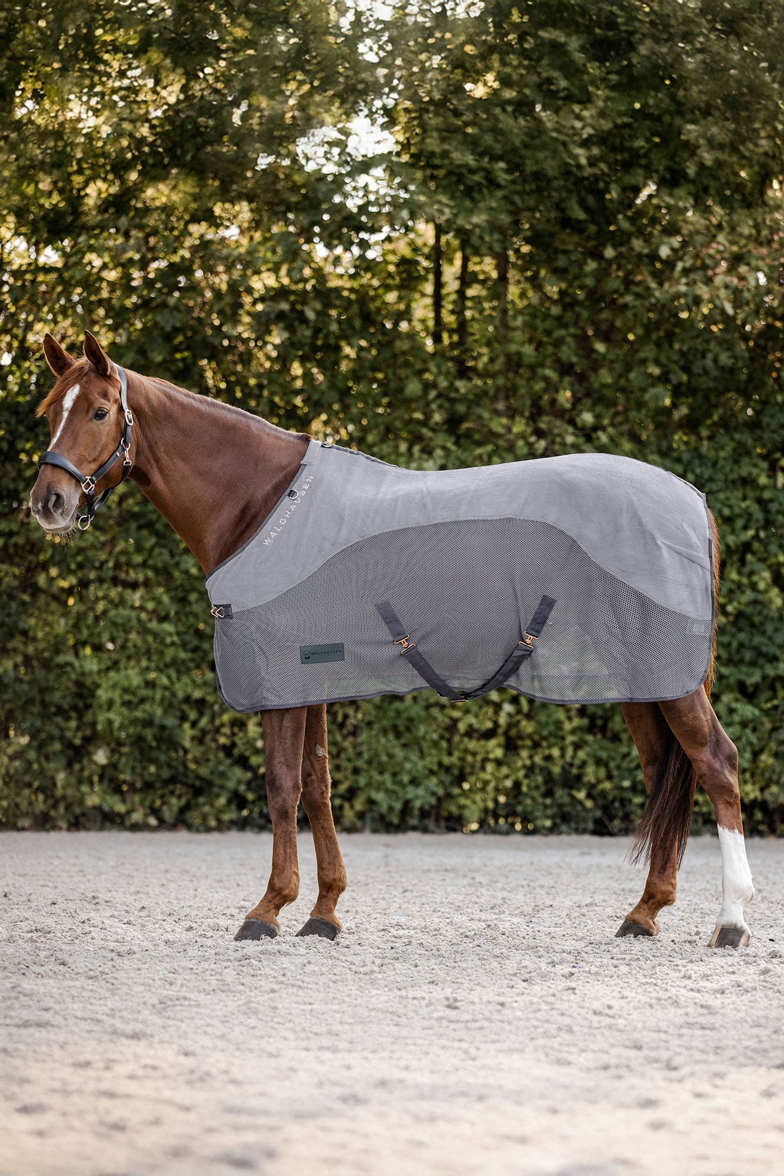 Waldhausen Comfort Fleece Fly Rug Horse Rugs