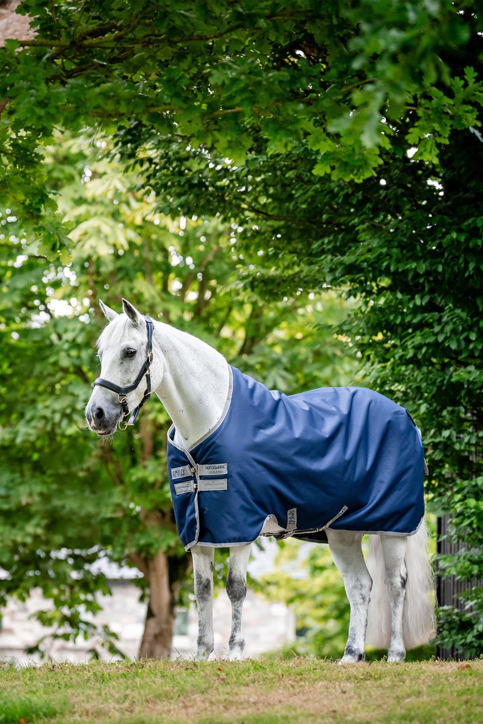 Horseware Amigo Ripstop 900D Fleece Lined Turnout Rug, 50 g Horse Rugs