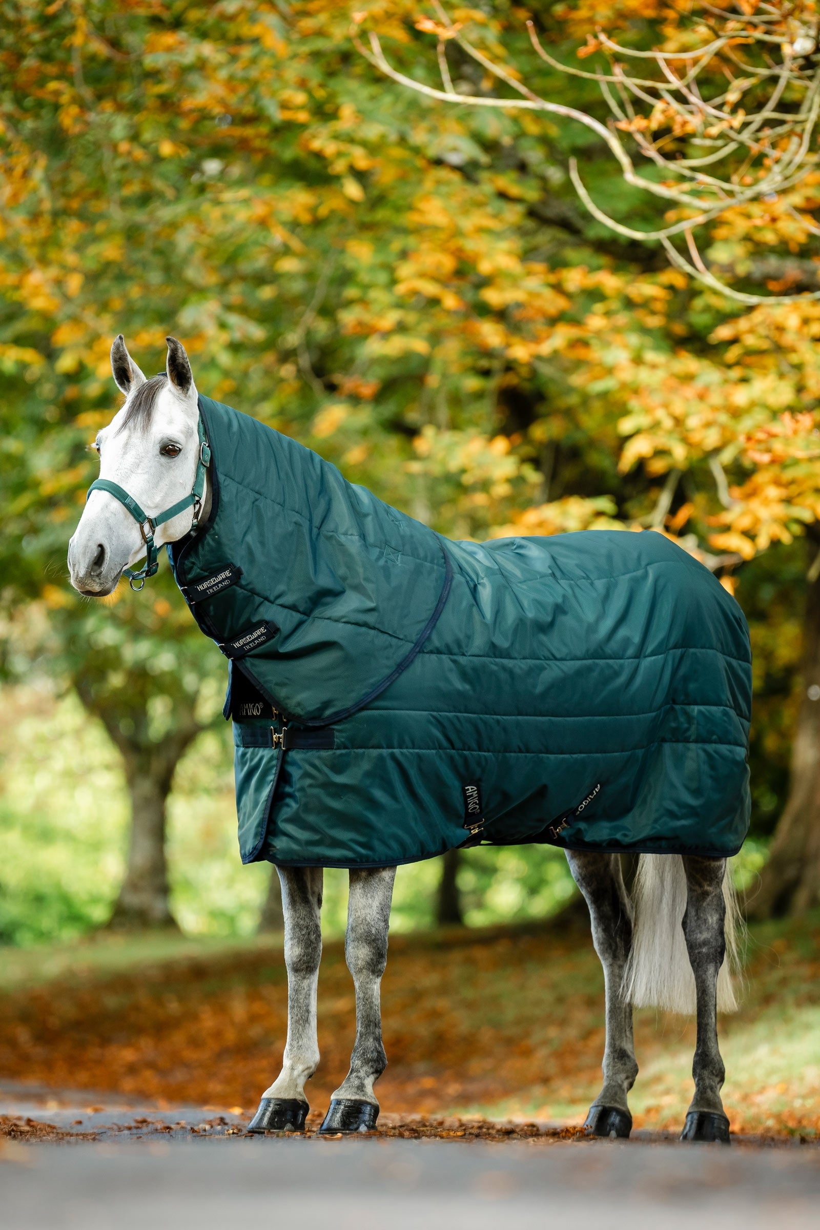 Horseware Amigo Ripstop Insulator Stable 50g Horse Rugs