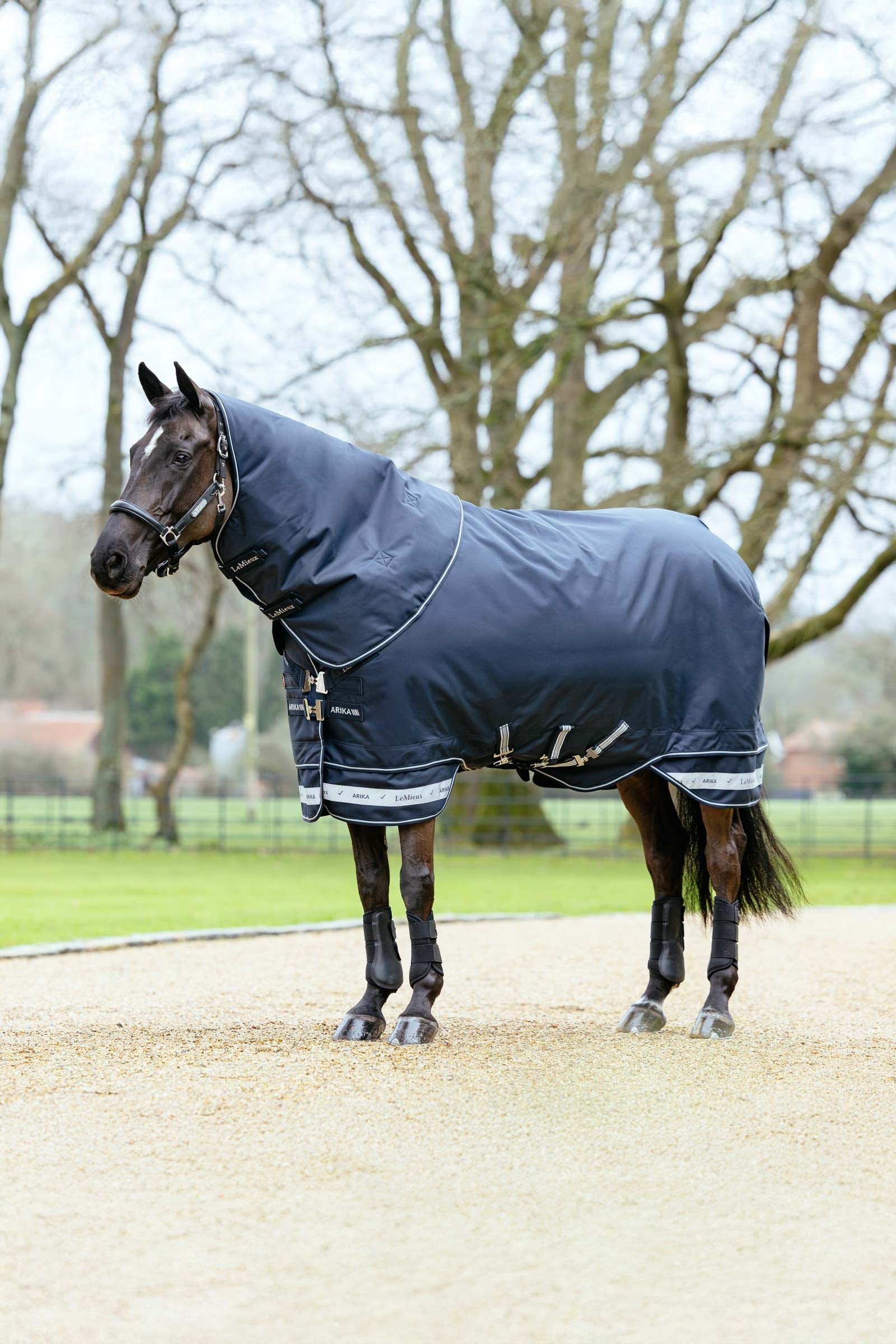 LeMieux Arika Storm-Tek Turnout Rug With Detachable Neck, 100 g Horse Rugs