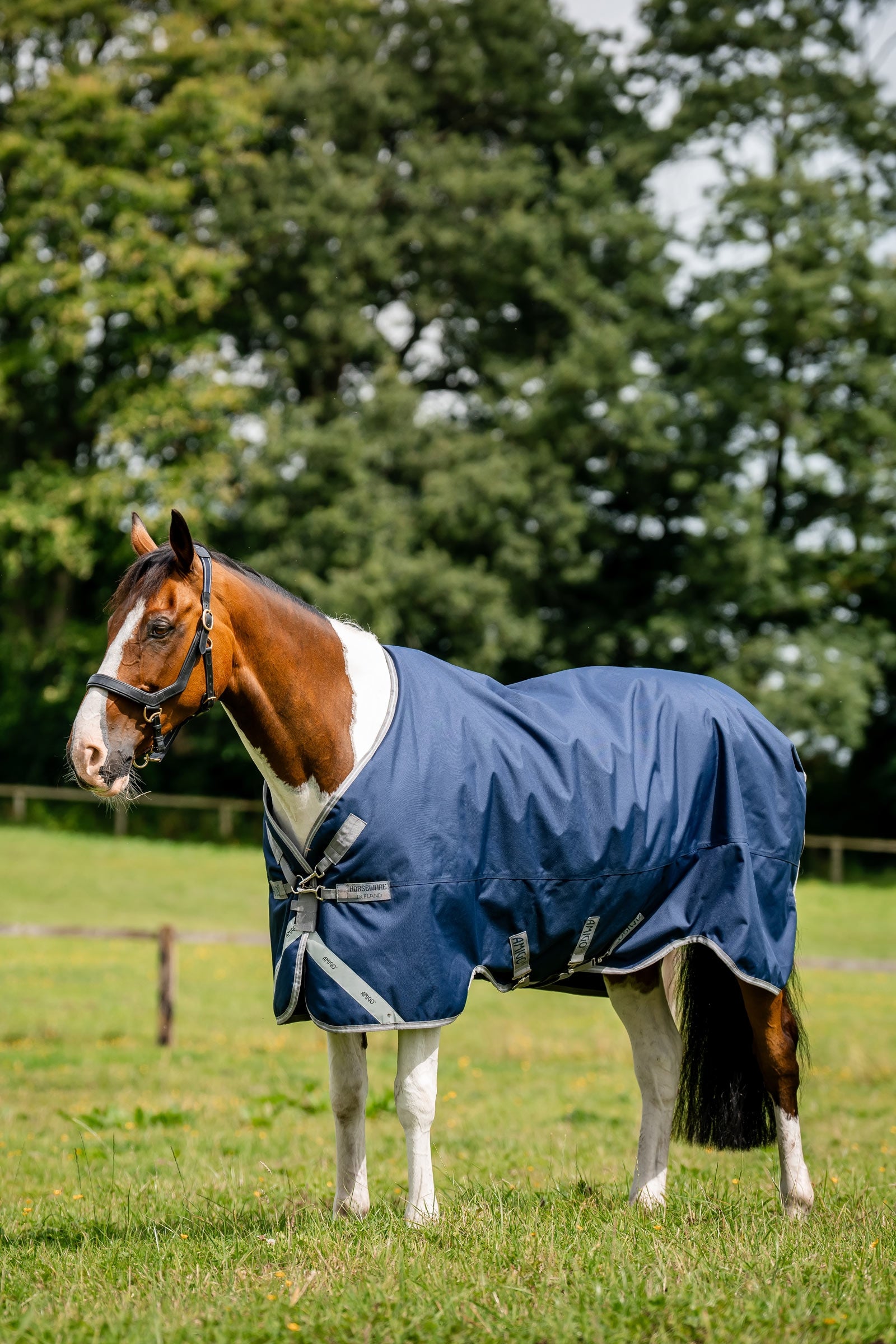 Horseware Amigo 1200D Turnout Rug, 250 g Horse Rugs