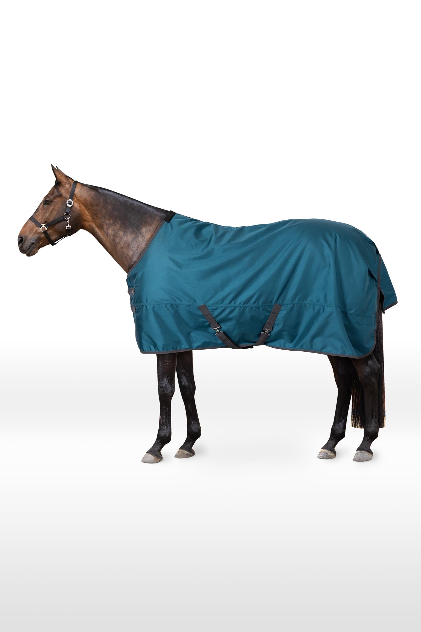 Horze Turnout Rug 1680D, 100g Horse Rugs