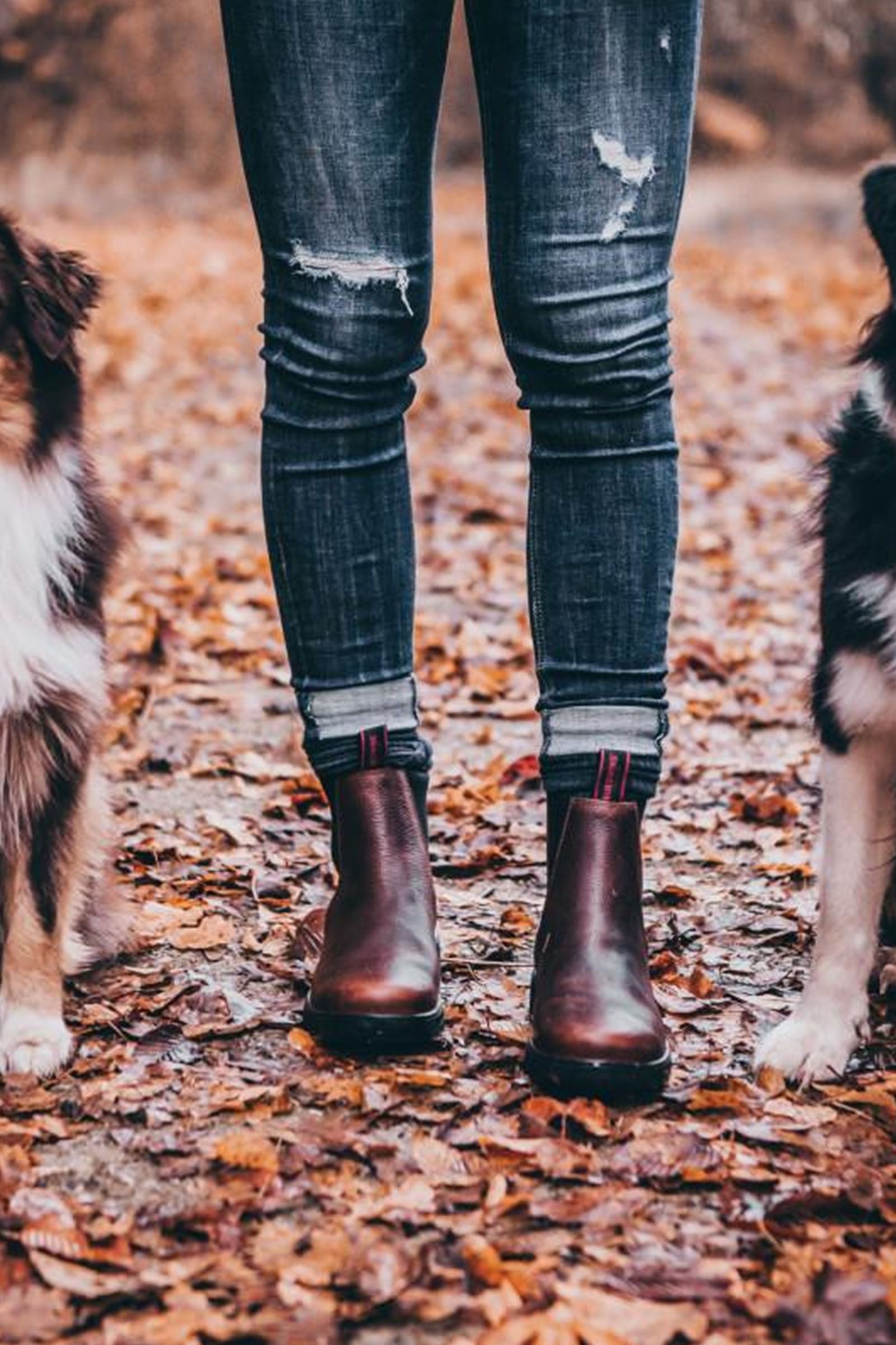 Suedwind Footwear 1888 Chelsea Jodhpur Boots Riding Boots & Riding Shoes