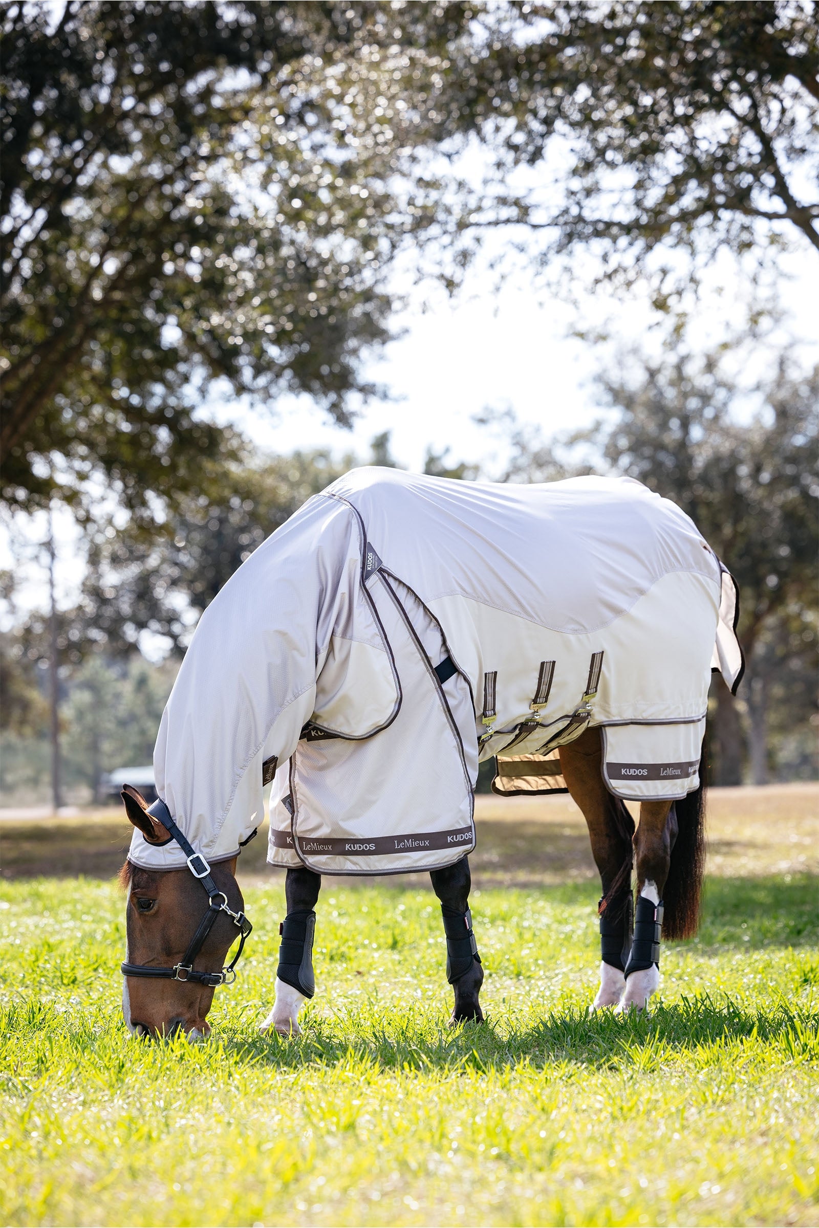 LeMieux Kudos Shower Pro Sweet Itch Rug With Detachable Neck Horse Rugs
