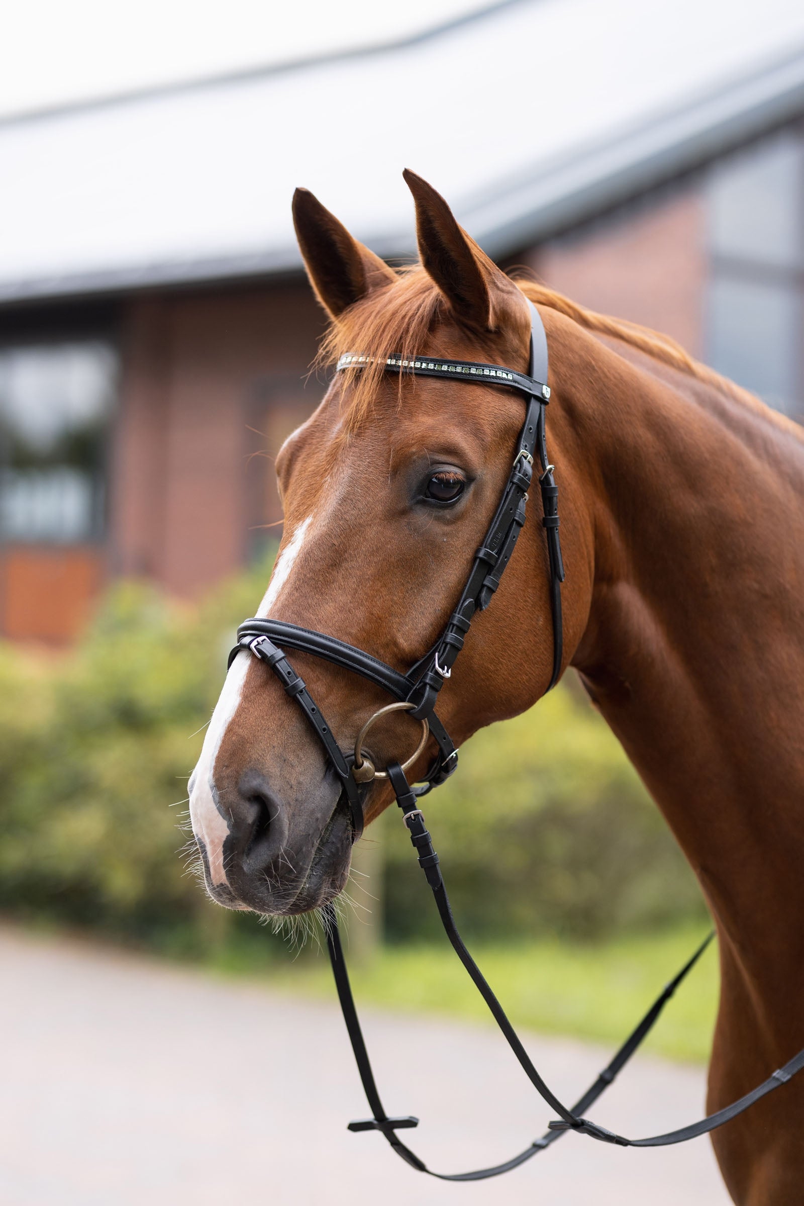 Horze Weston Bridle Bridles & Reins