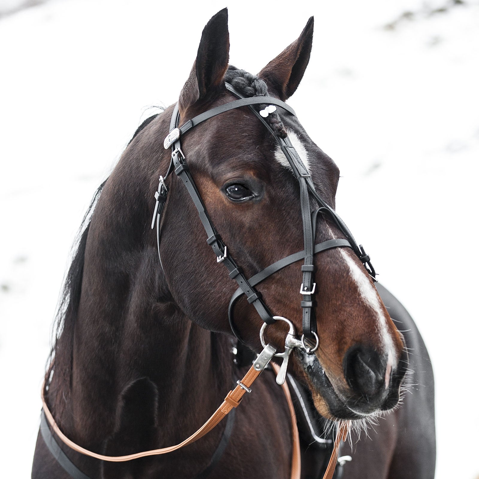 Finntack Pro Synthetic (100% Beta) Overcheck Racing Tack