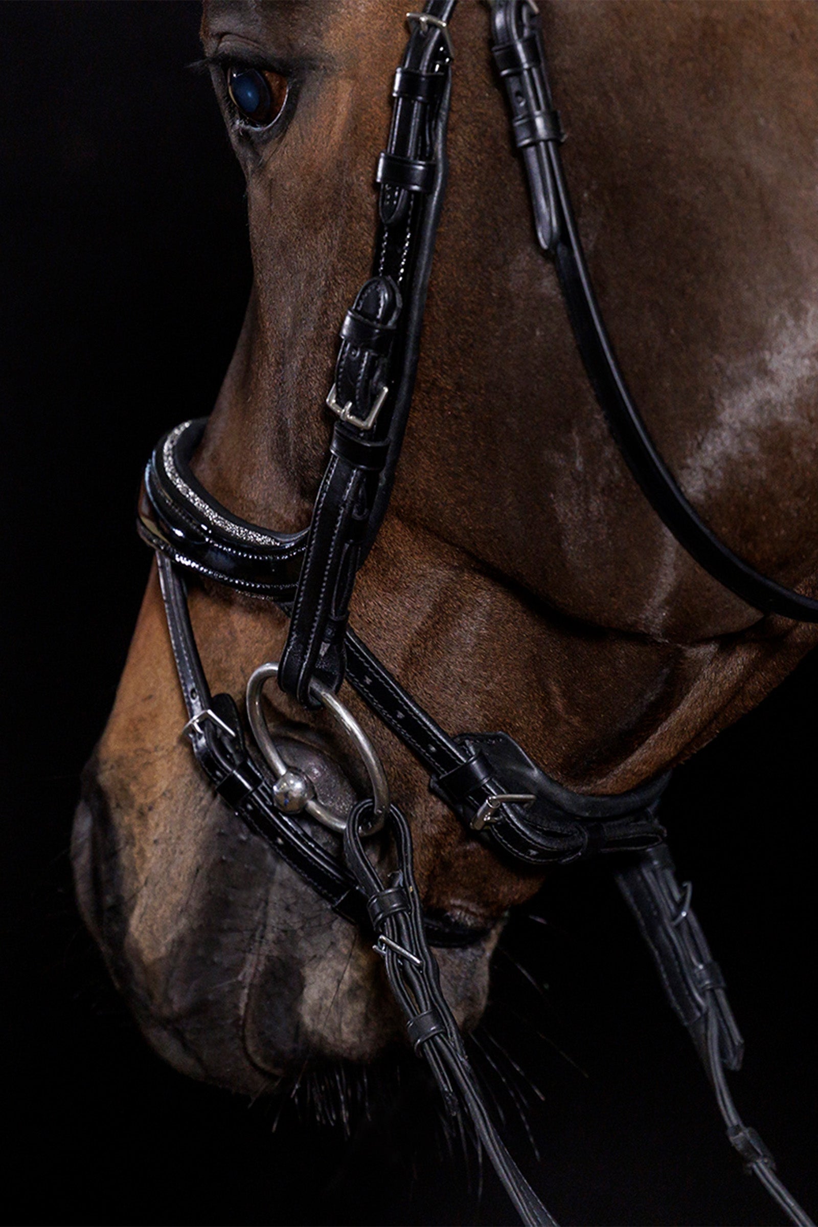 Schockemöhle Sports Equitus Beta Glam Bridle Bridles & Reins