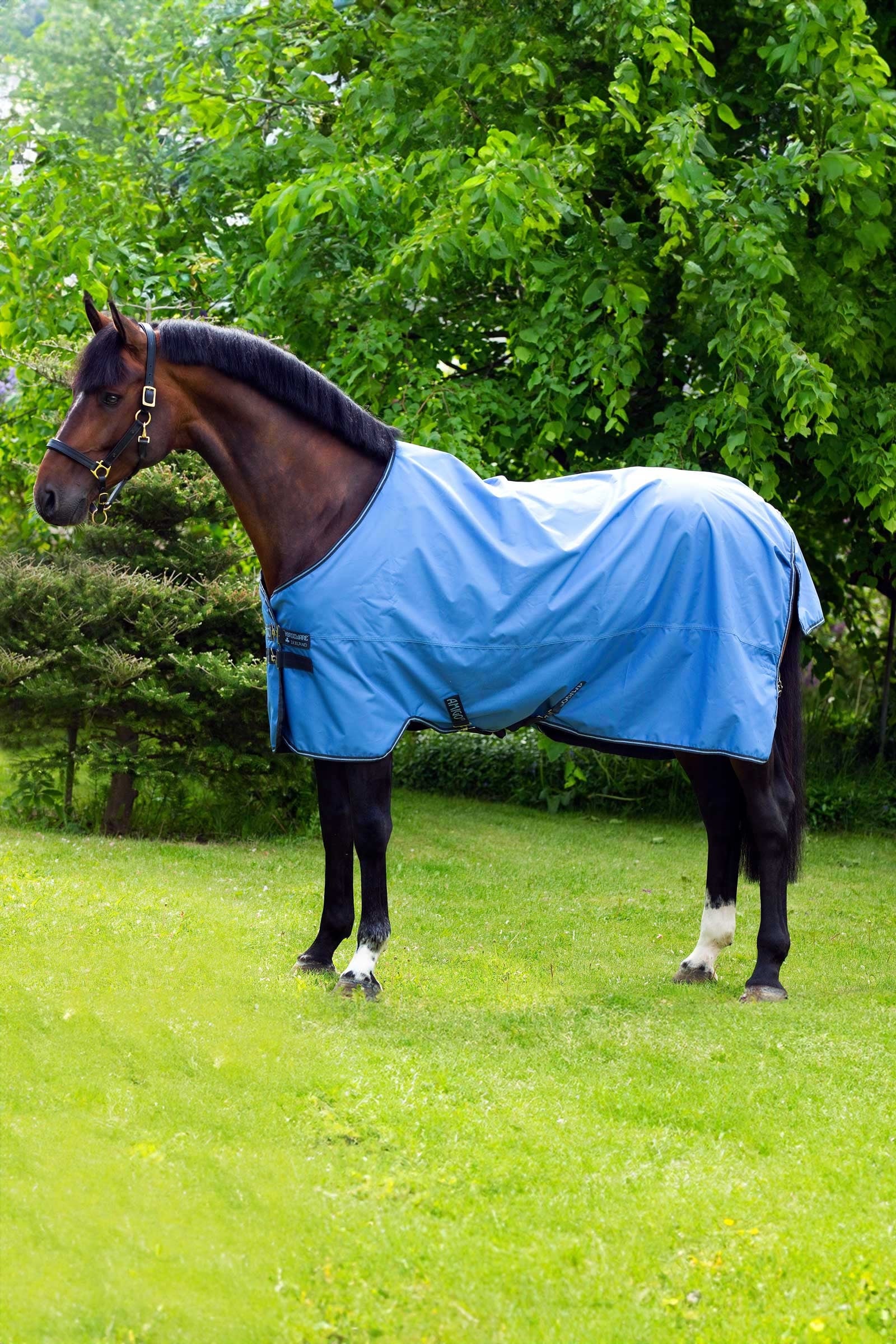 Horseware Amigo Hero 900 Turnout Rug, 50g Horse Rugs