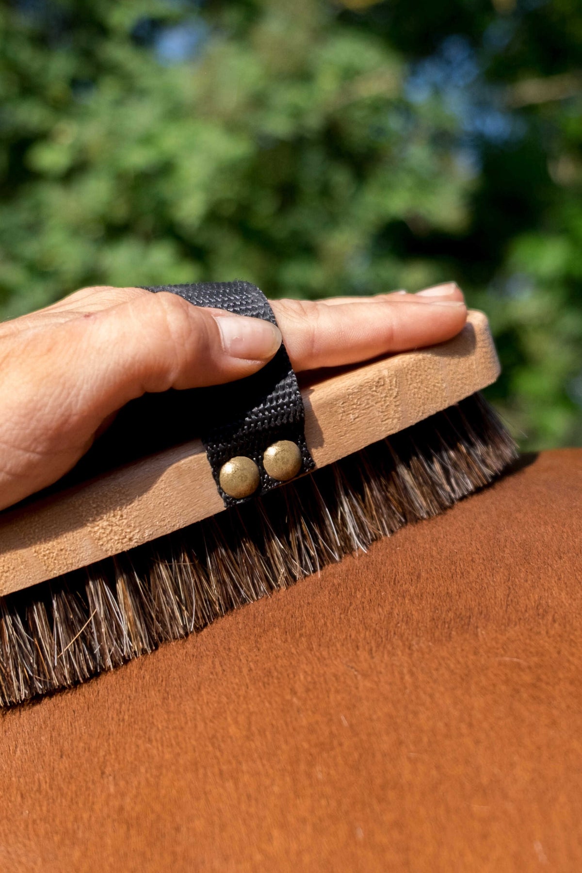 HIPPOTONIC Extra Soft Body Brush, Small Horse Grooming Tools