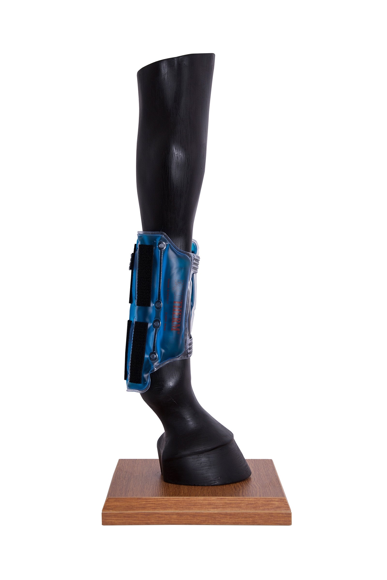 Stassek Equitherm Thermal Wrap for Cooling and Heating without Water Leg Protection & Hoof Protection for Horses