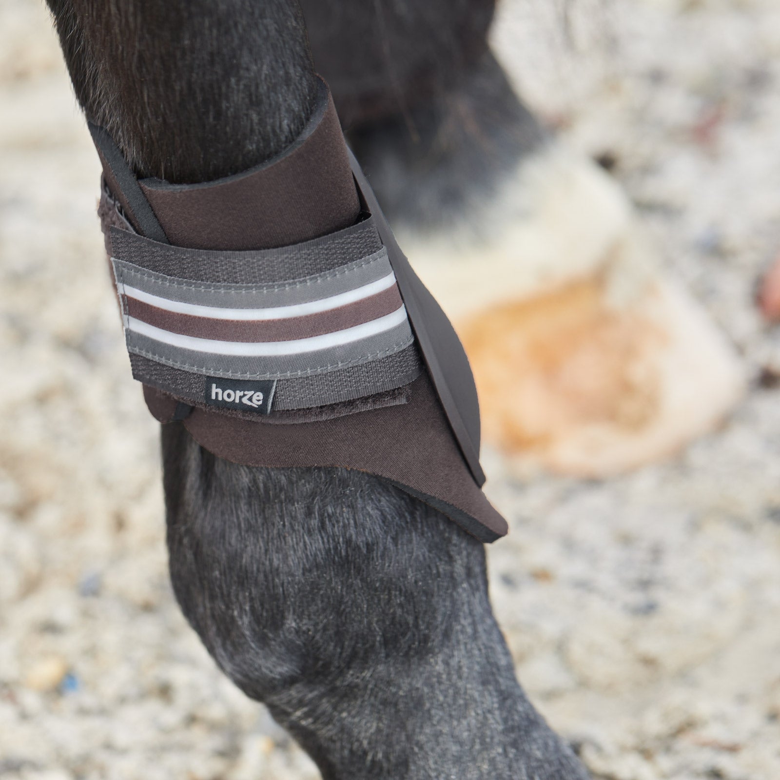Horze Adepto Fetlock Boots Leg Protection & Hoof Protection for Horses