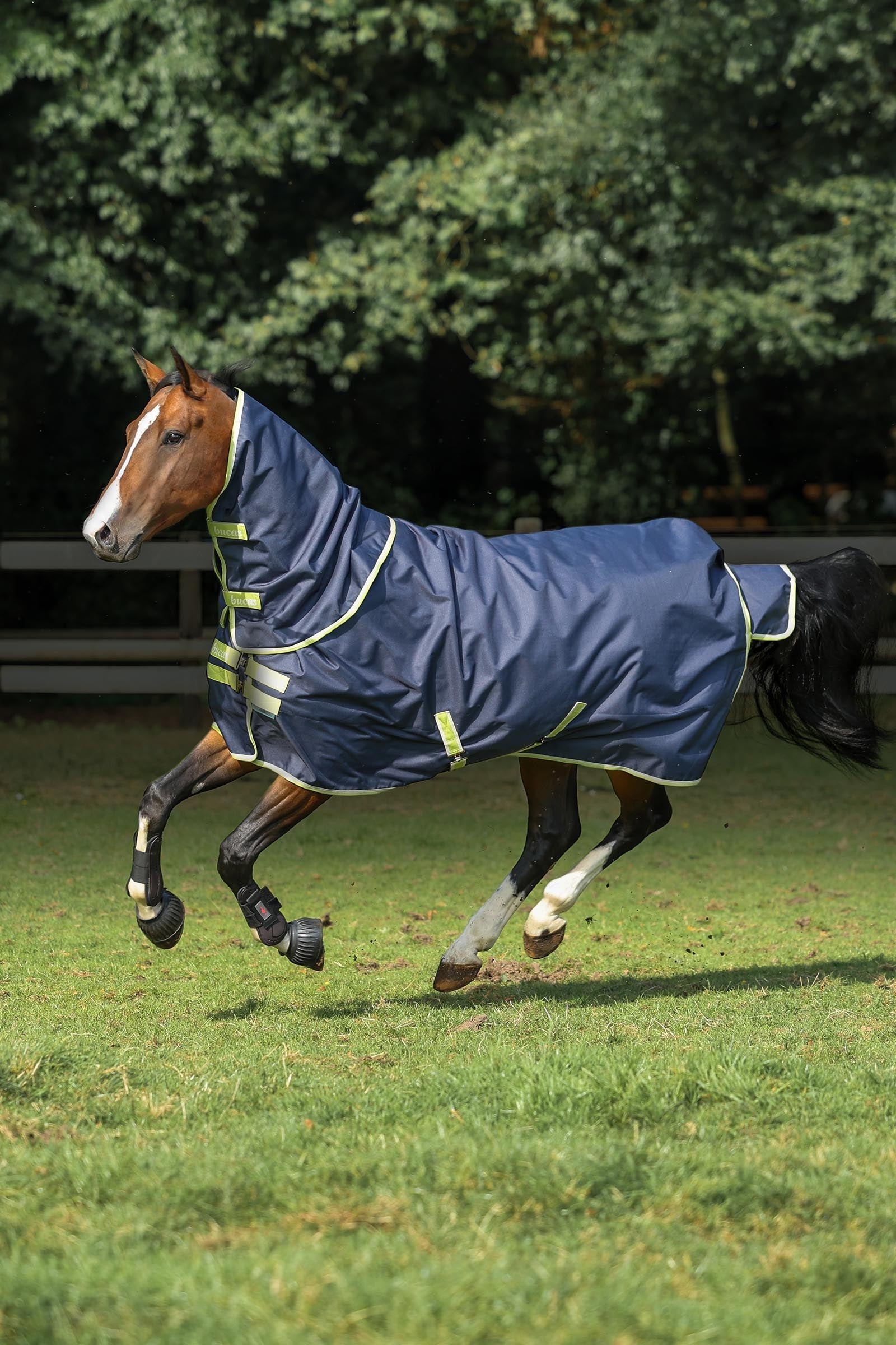 Bucas Oasis Turnout + Neck Set, 200g Horse Rugs