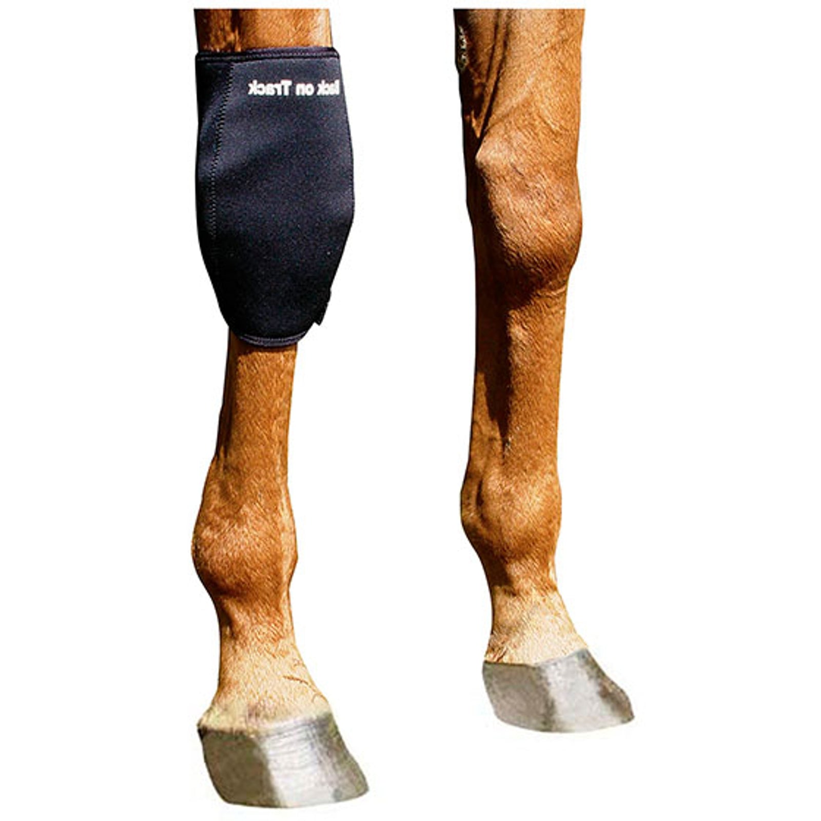 Back on Track Back On Track Knee boot, Right Leg Protection & Hoof Protection for Horses