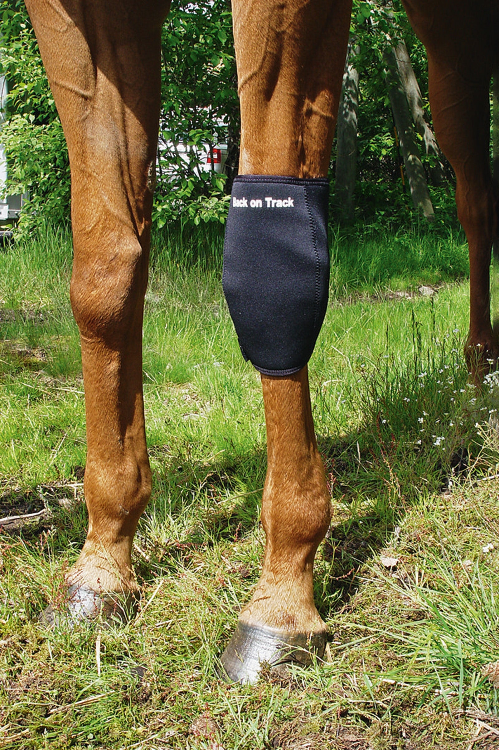 Back on Track Back On Track Knee boot, Left Leg Protection & Hoof Protection for Horses