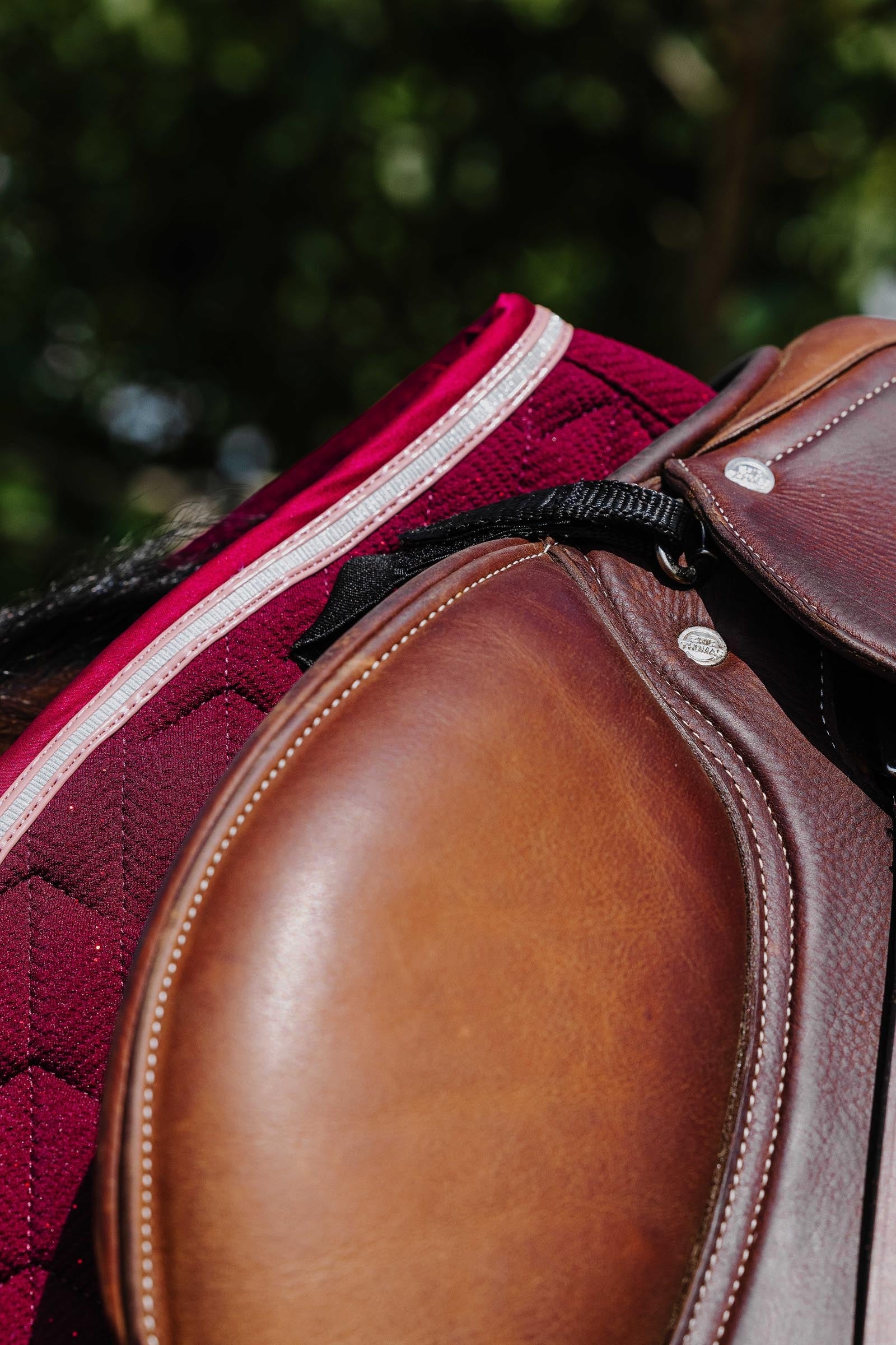 Equi Theme EQUITHÈME Eclat Saddle Pad Saddle Pads
