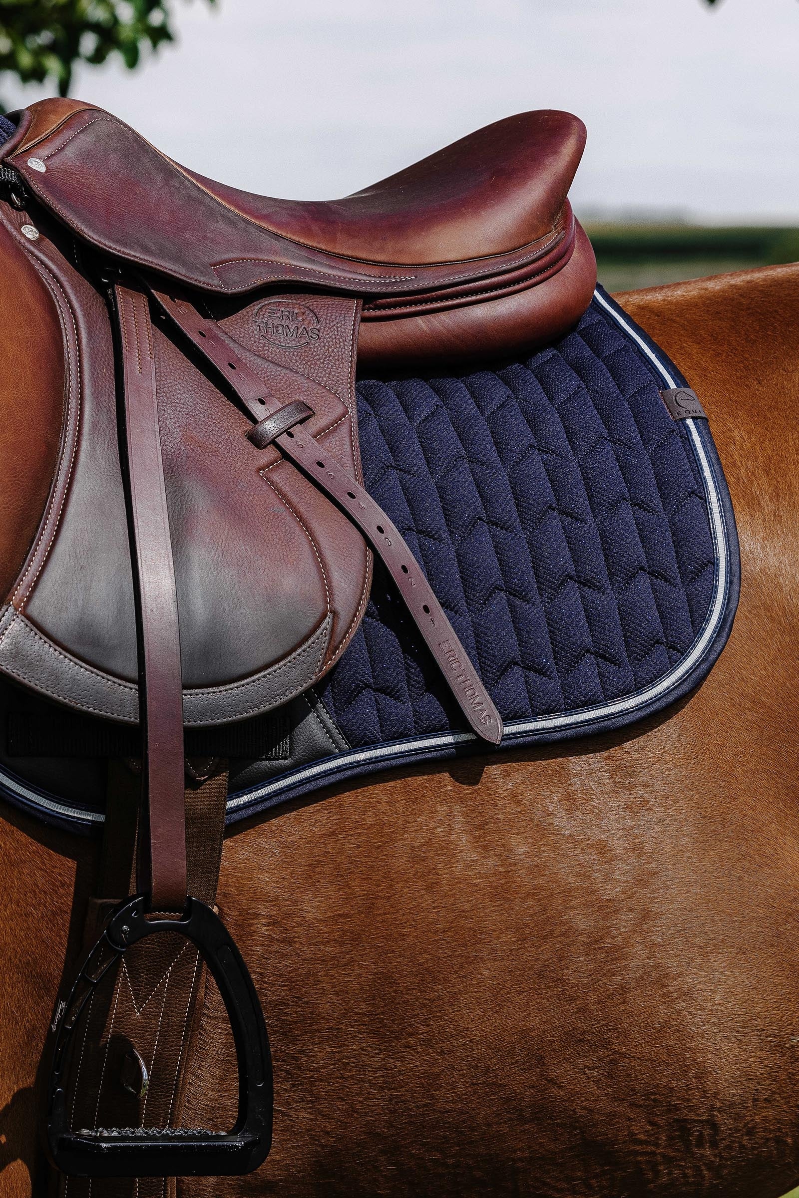Equi Theme EQUITHÈME Eclat Saddle Pad Saddle Pads