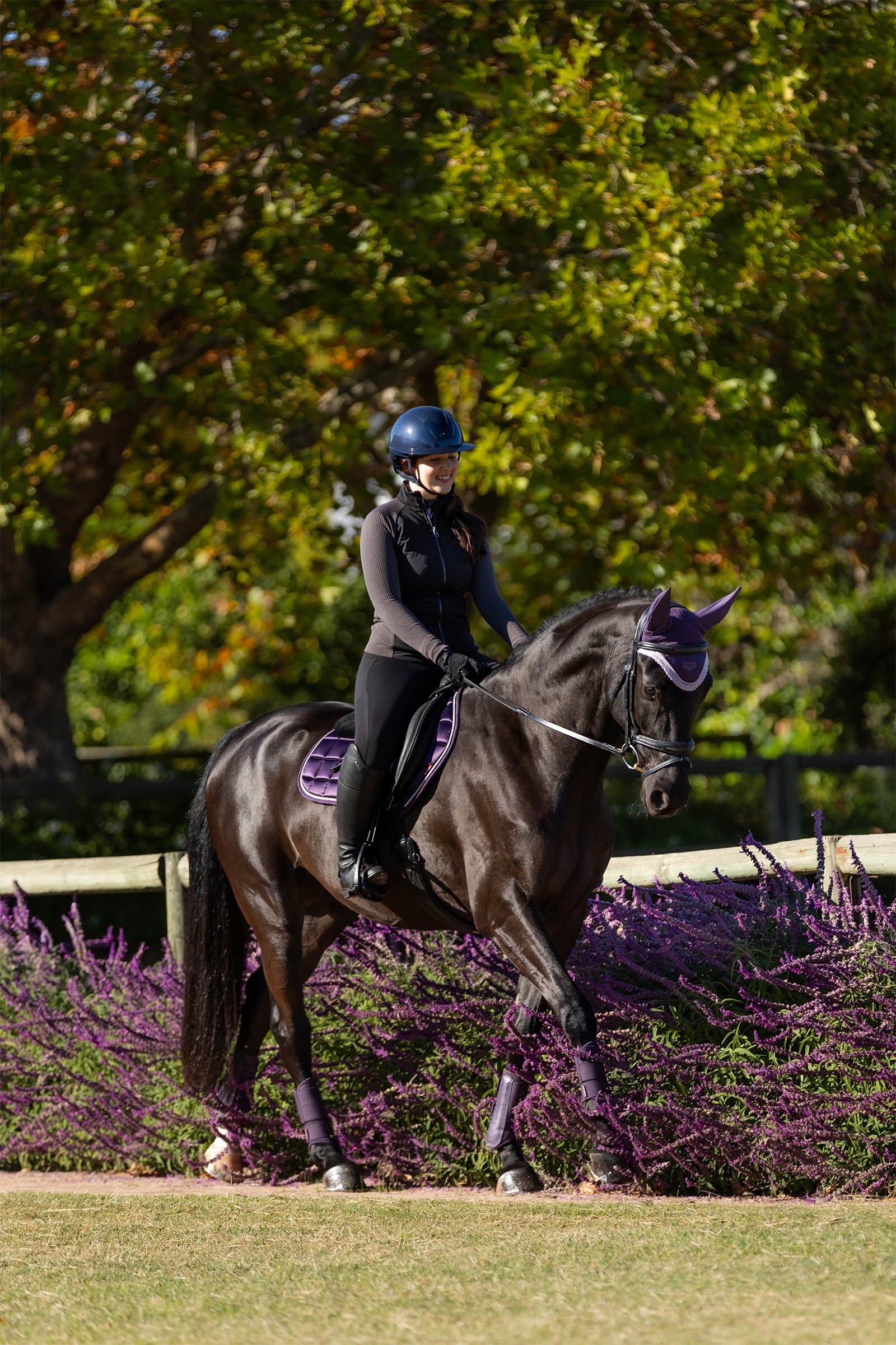 thumbnail image 2 of LeMieux Merino+ Half Lined Close Contact Numnah CC Wool Jumping Saddle Pad - Black/Brown M/L 2 of 6