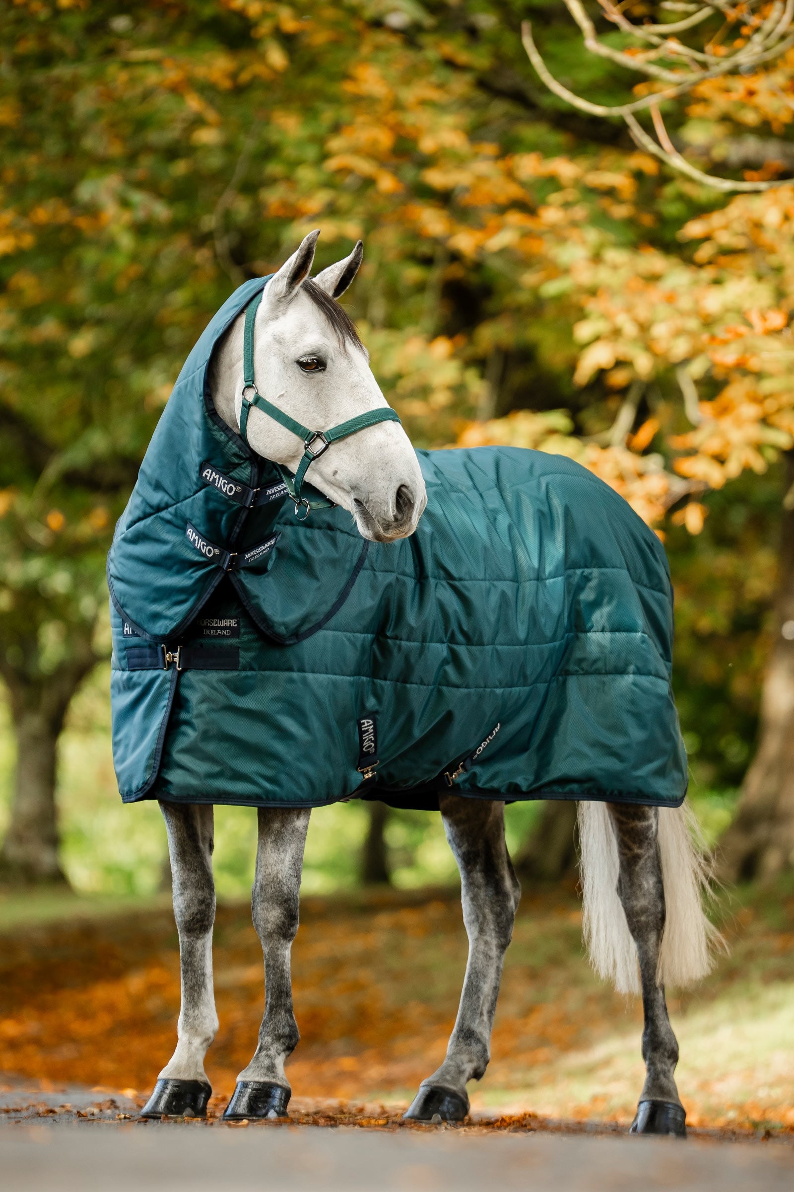 Horseware Amigo Ripstop Insulator Stable Rug, 350 g Horse Rugs