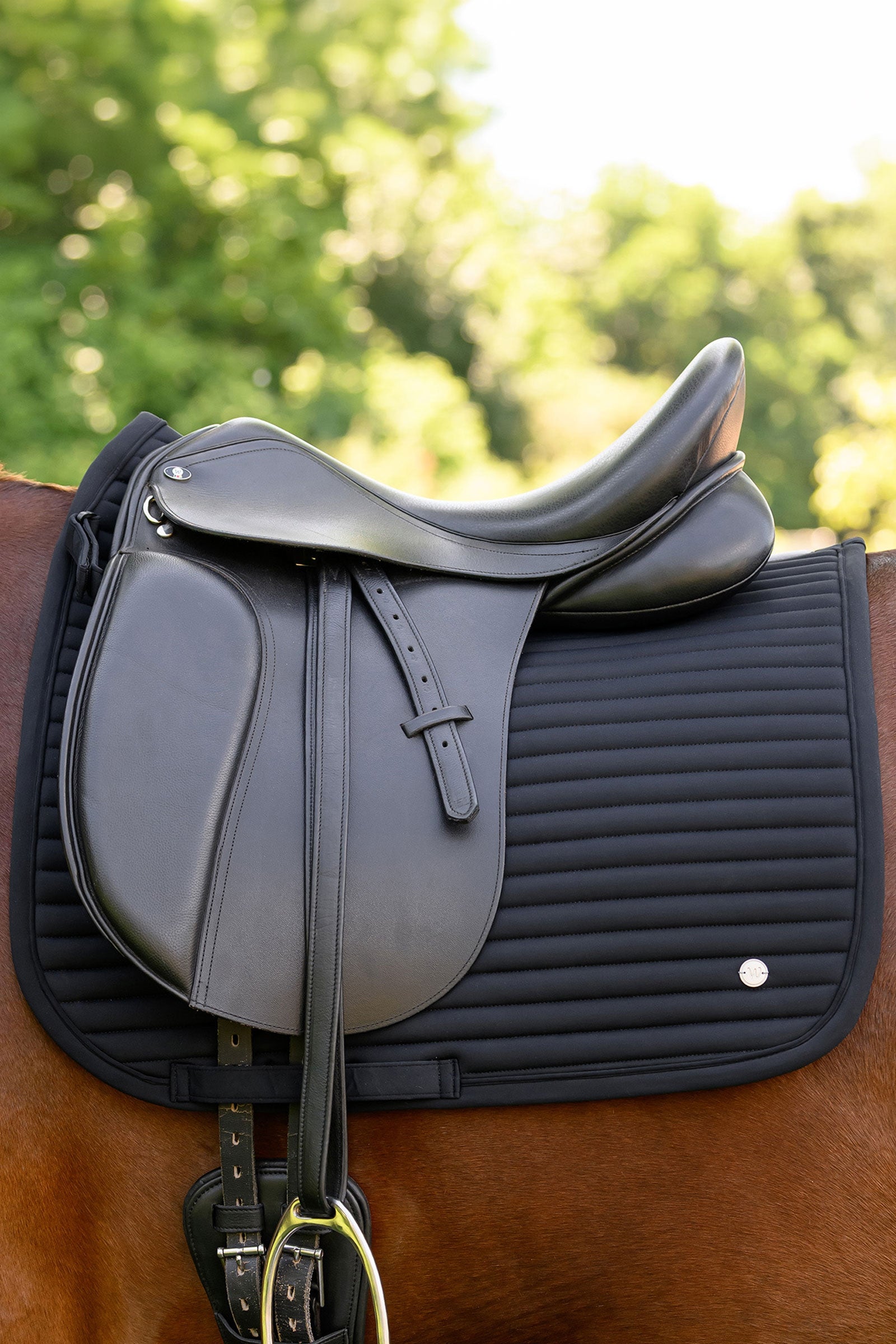Waldhausen Trinidad Dressage Saddle Pad Saddle Pads