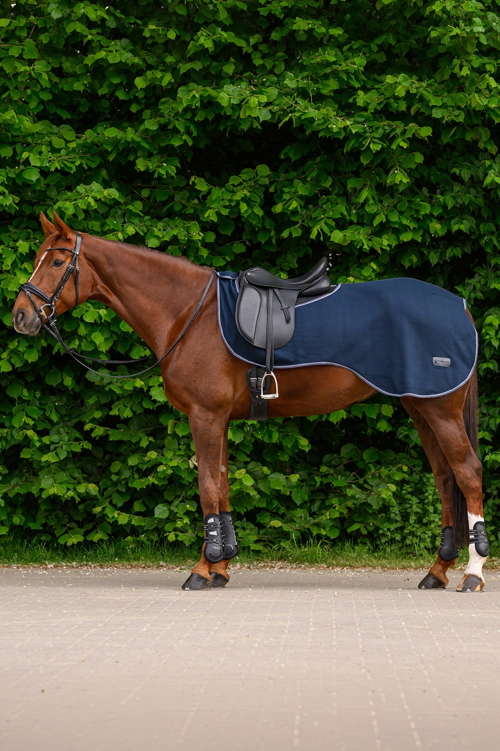 Waldhausen ECONOMIC Fleece Exercise Rug Horse Rugs