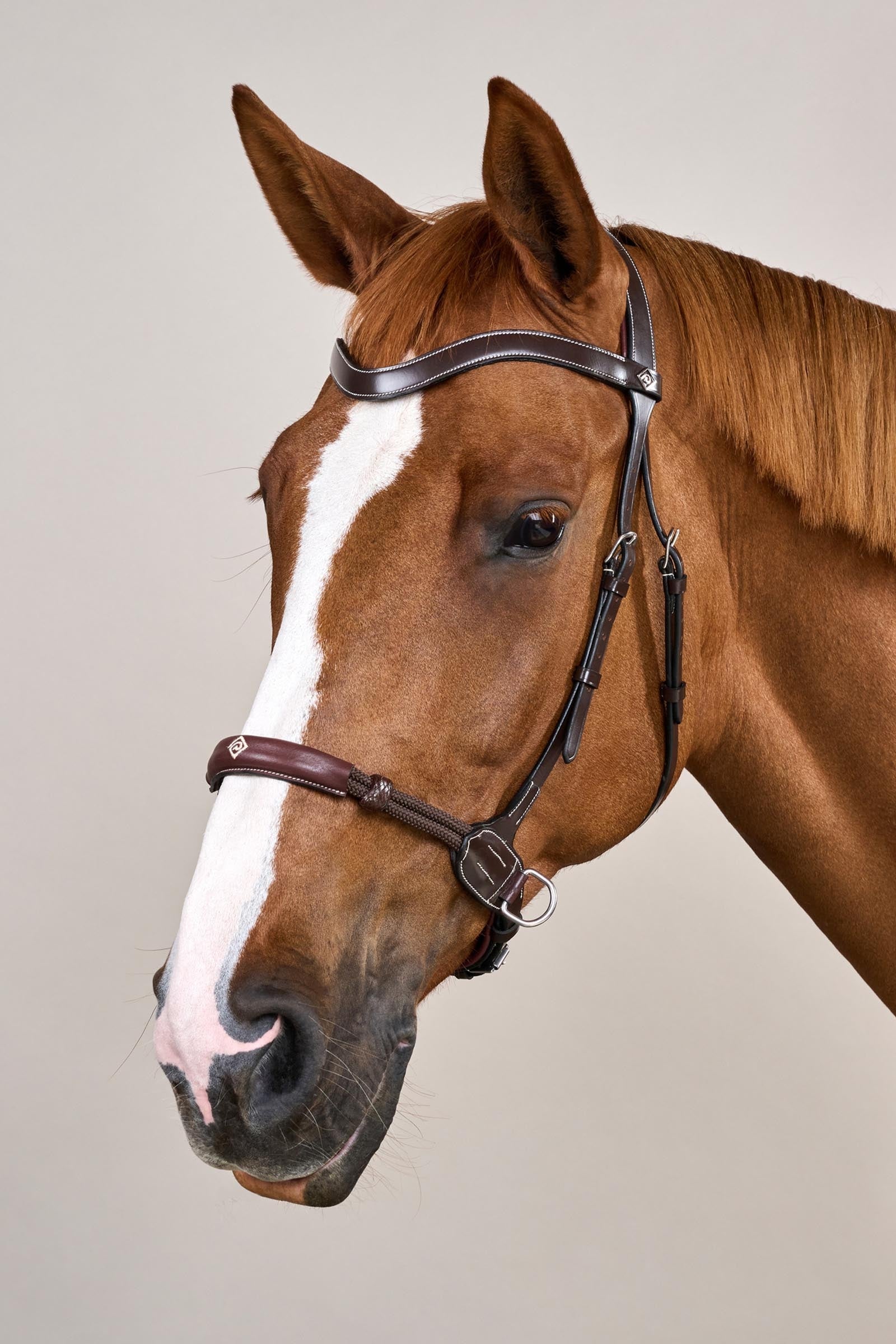 Dy'on Working Bitless Bridle Bridles & Reins